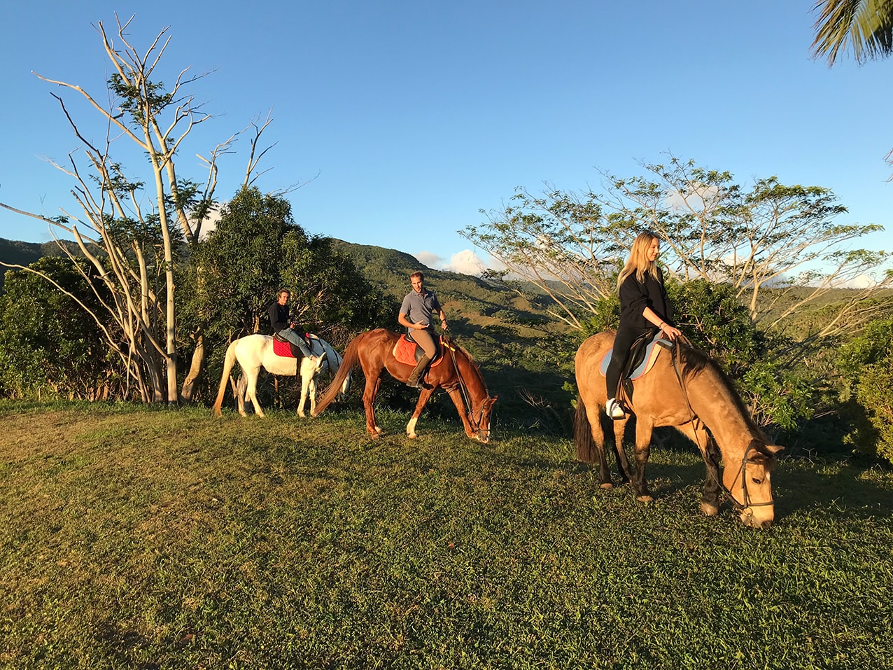 La Vieille Cheminée in Süd | Südwesten:  Mauritius La Vieille Cheminee 