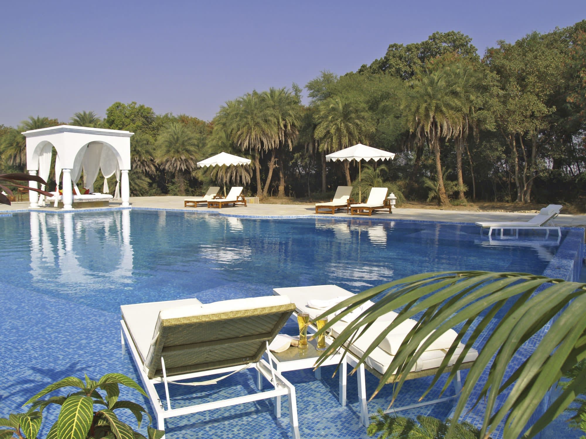Shahpura Bagh in Udaipur & Umgebung: Indien Shahpura Bagh Pool