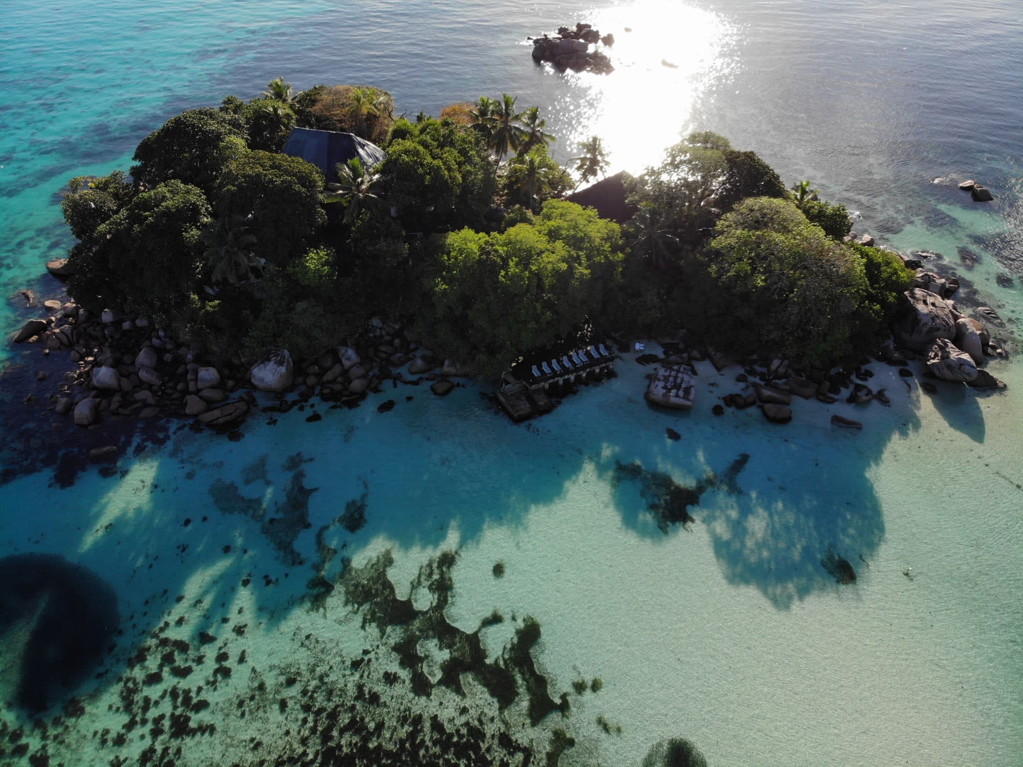 Chauve Souris Relais in Praslin: Seychellen Chauve Souris Relais