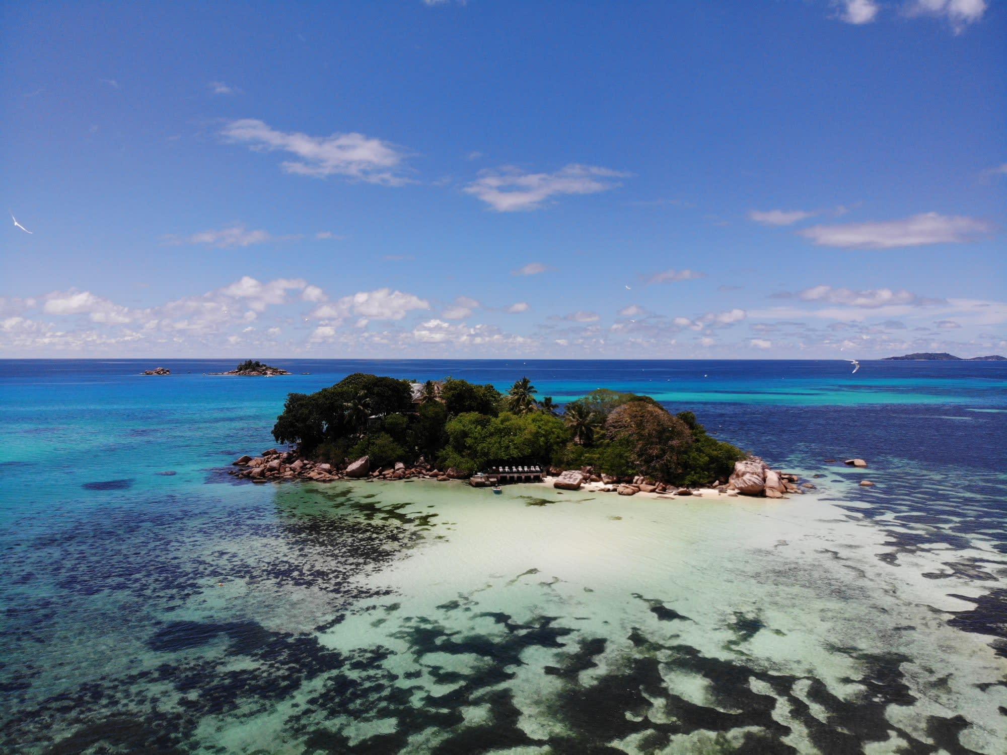 Chauve Souris Relais in Praslin: Seychellen Chauve Souris Relais