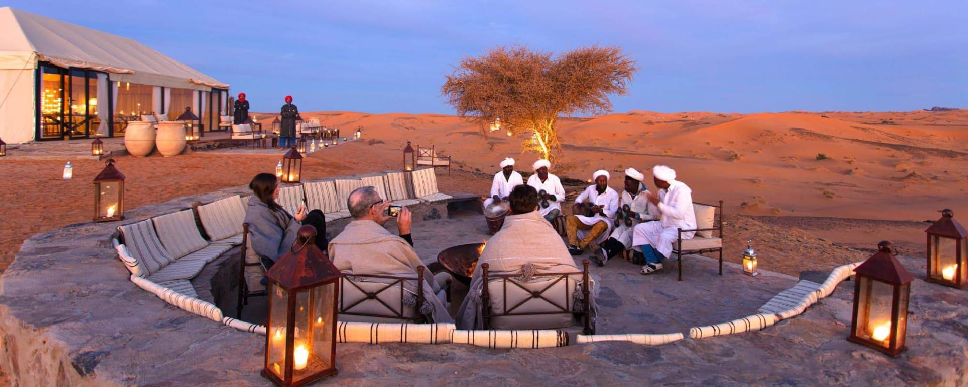 The White Camel Acacia in Sahara Wüste | Drâa-Tal: The White Camel Acacia