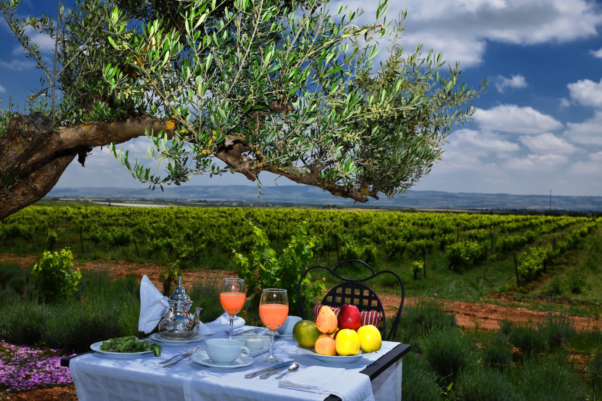 Chateau Roslane Boutique Hotel & Spa in Meknès: Marokko Roslane Boutique Hotel