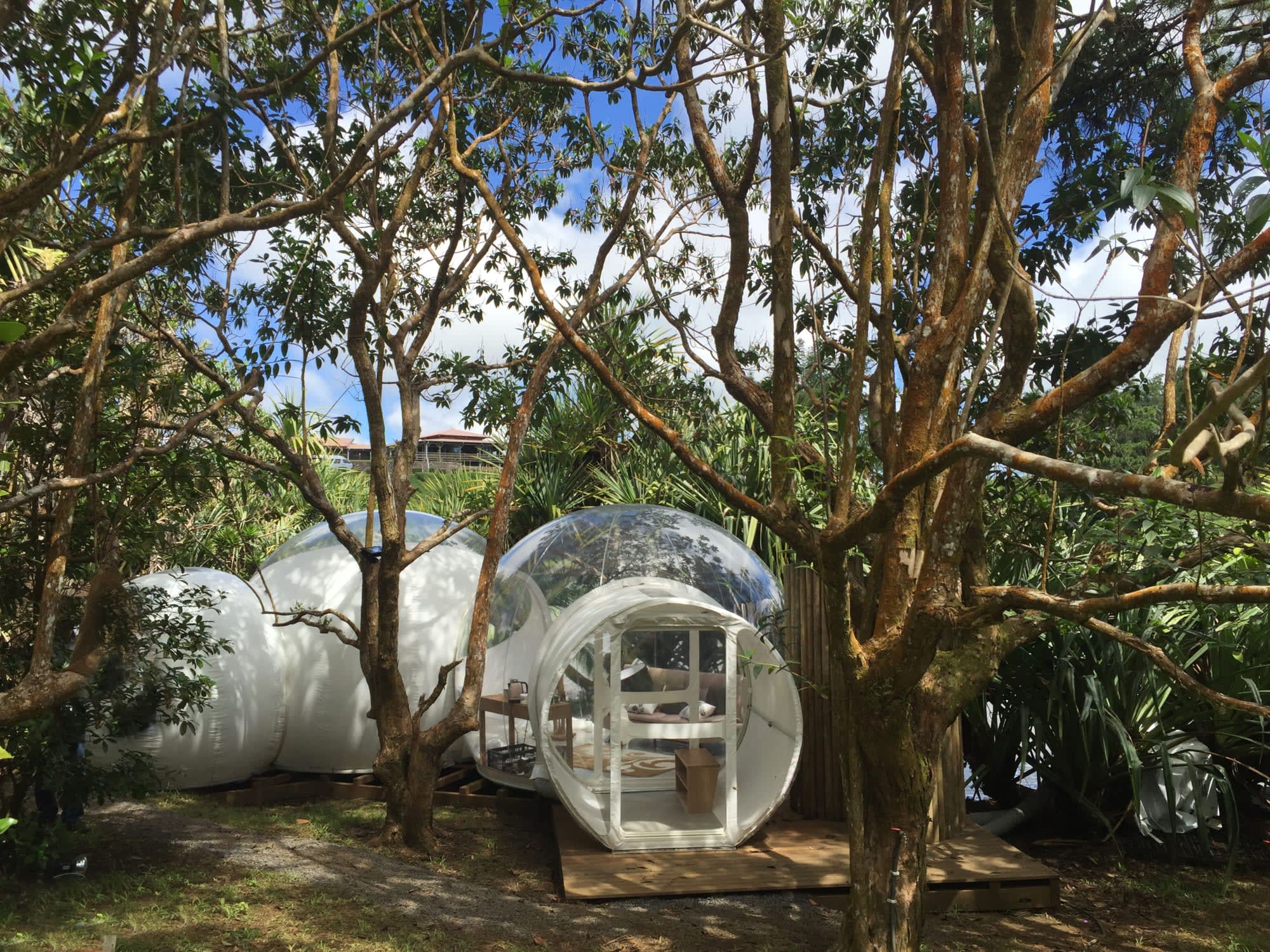 Bubble Lodge Bois Cheri in Süd | Südwesten: Mauritius Bubble Lodge Bois Cheri