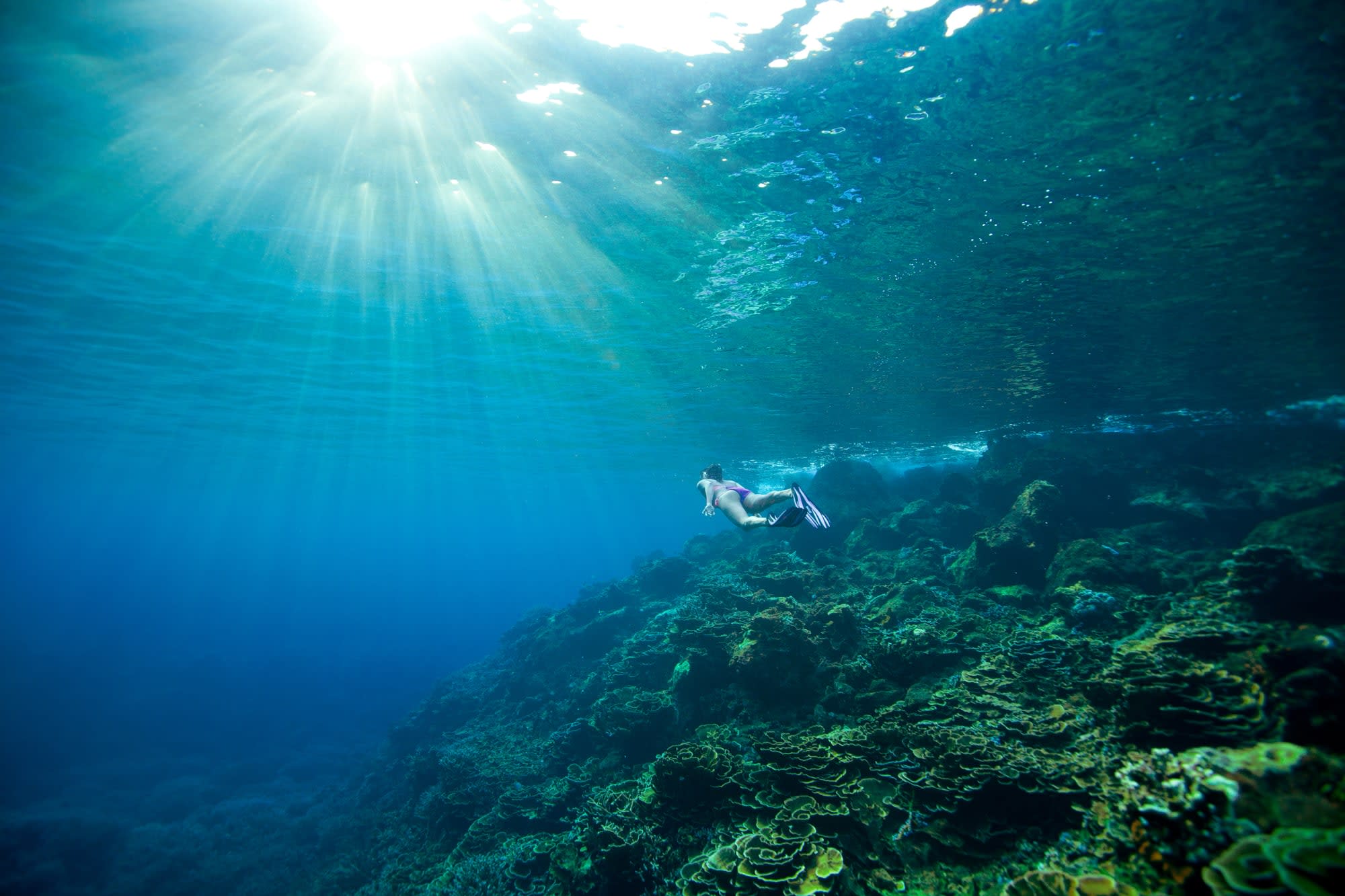 Tilar Siro Andamans in Andamanen:  Indien Tilar Siro Andamans