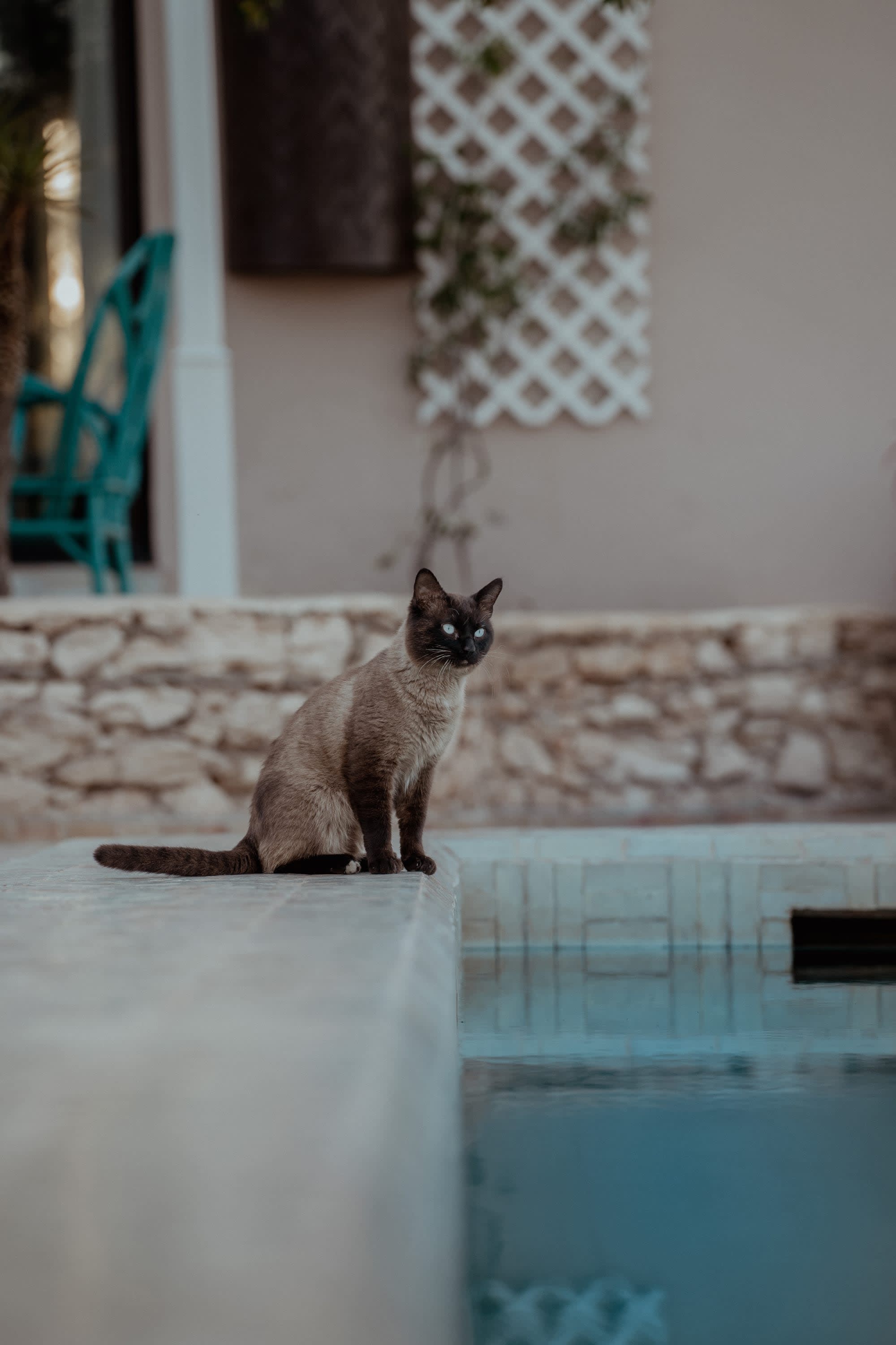 Les Jardins de Villa Maroc in Essaouira: Les Jardins du Villa Maroc