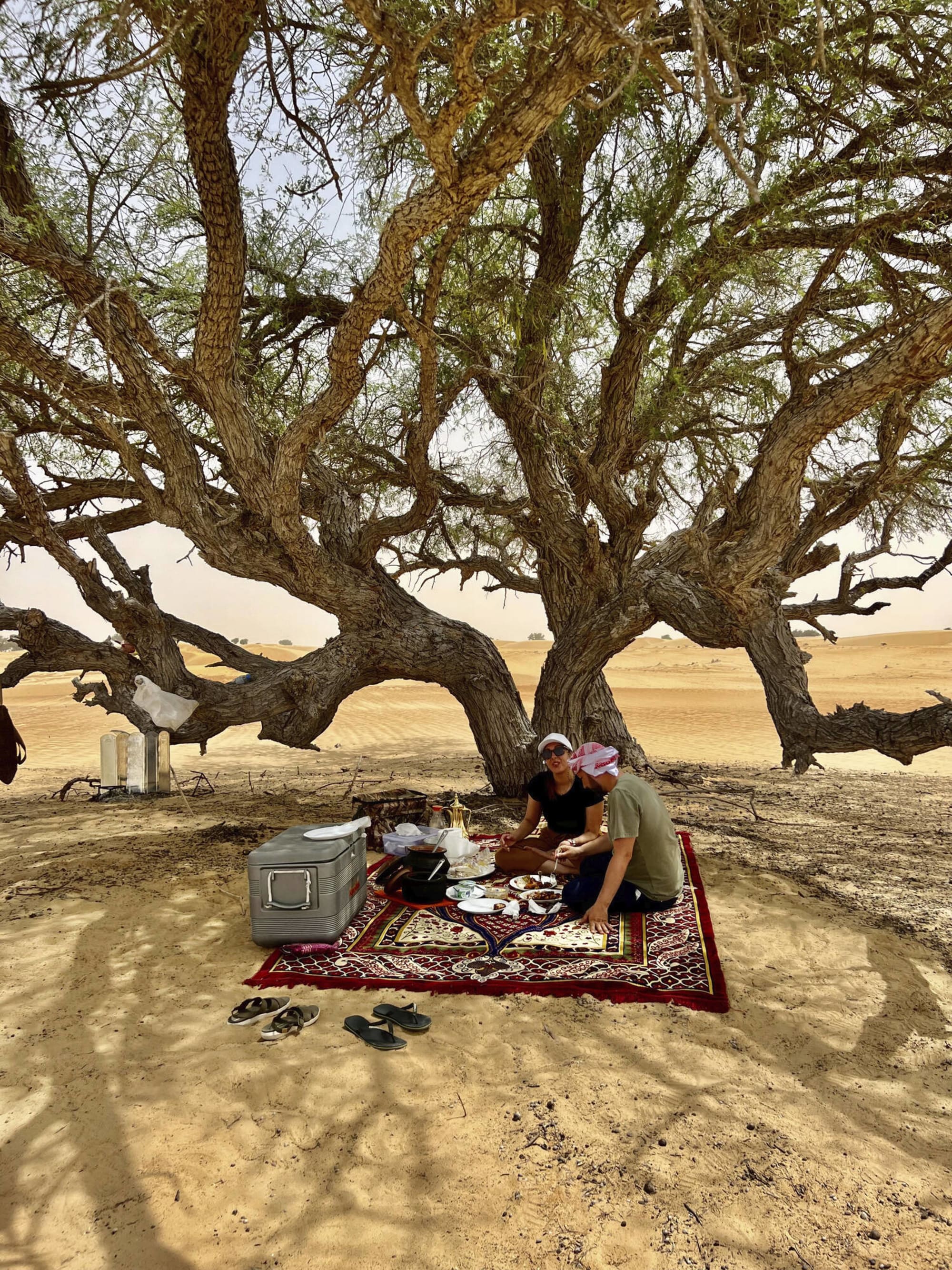 Al Sarmadi Desert Camp in Wüste: Oman Al Sarmadi Desert Camp