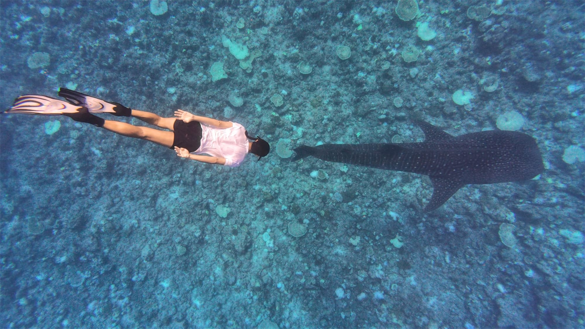 Radisson Blu Resort Maldives in Malediven: Radisson Blu Resort Maldives