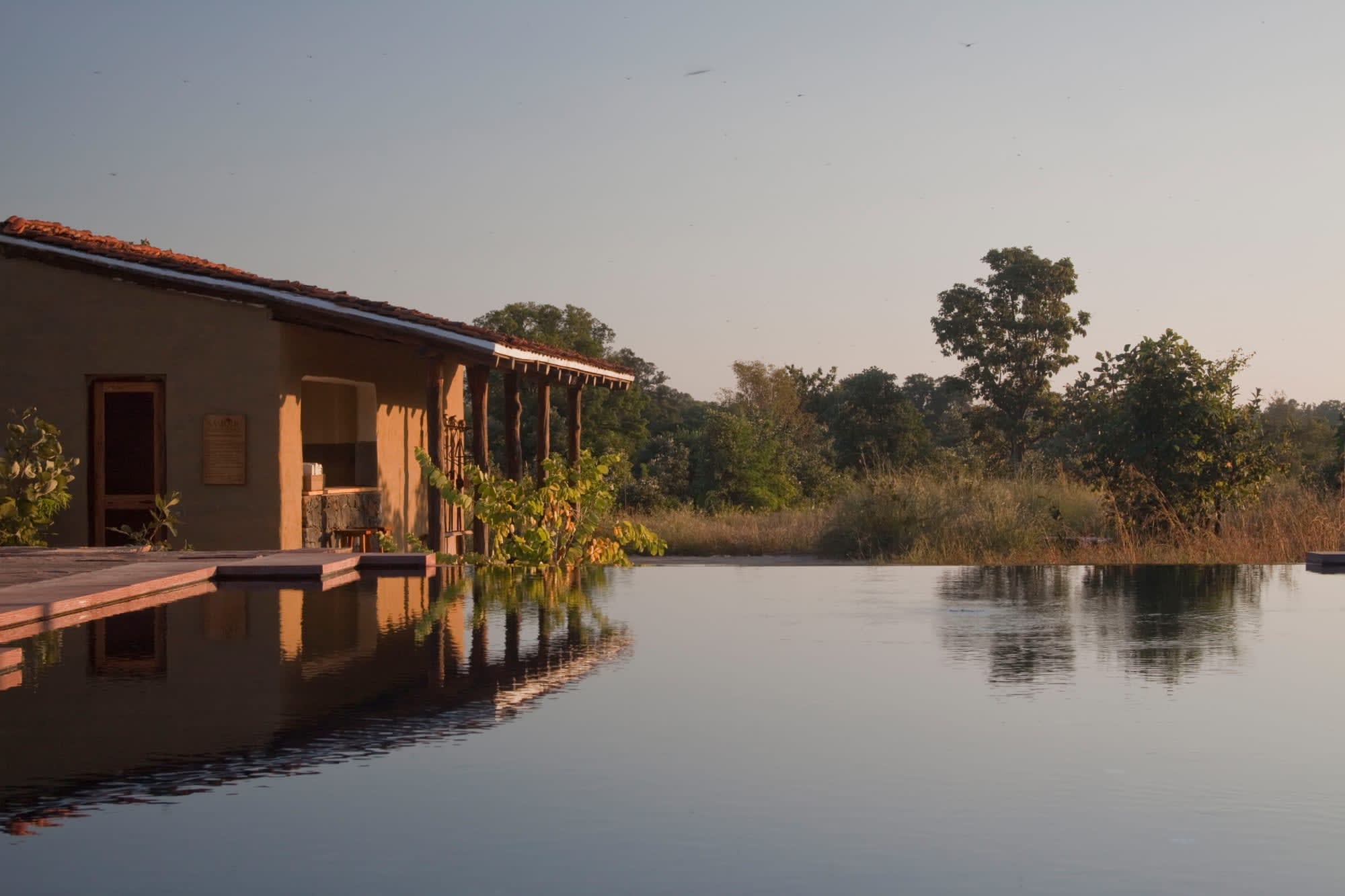 Samode Safari Lodge in Madhya Pradesh | Khajuraho:  Indien Samode Safari Lodge - Pool