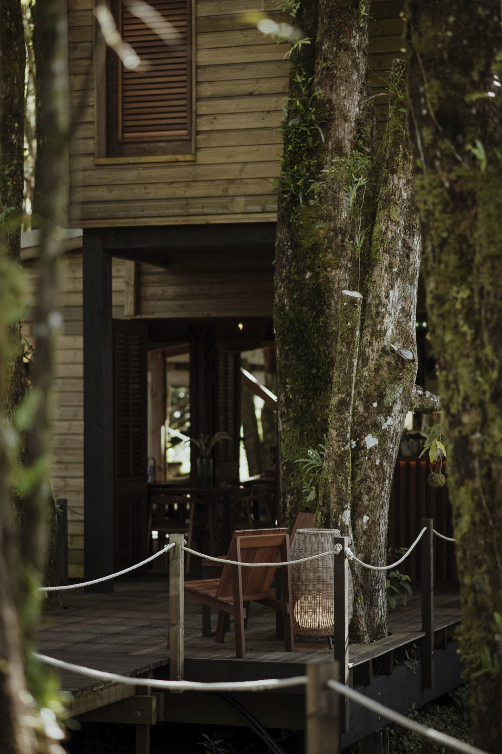 Kanopea Forest Lodge in Zentral La Réunion: Kanopea Forest Lodge