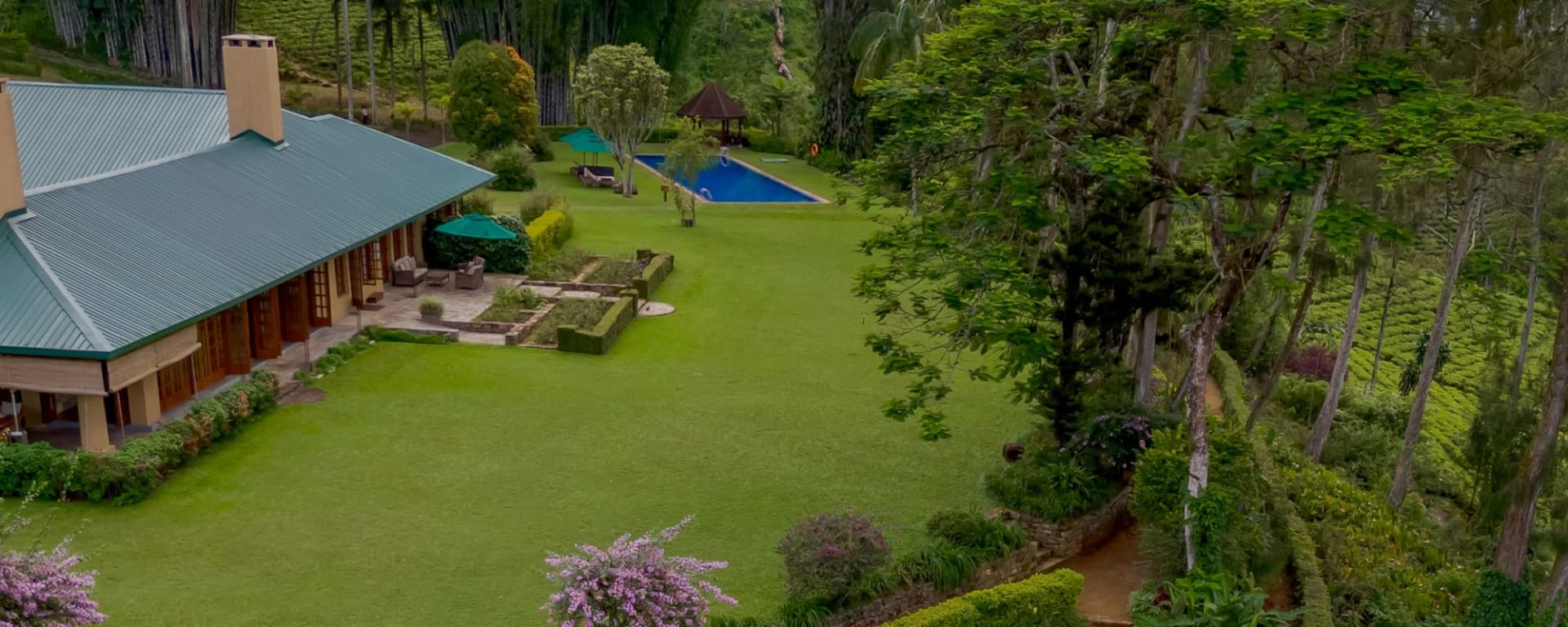 Ceylon Tea Trails in Hatton: Ceylon Tea Trails