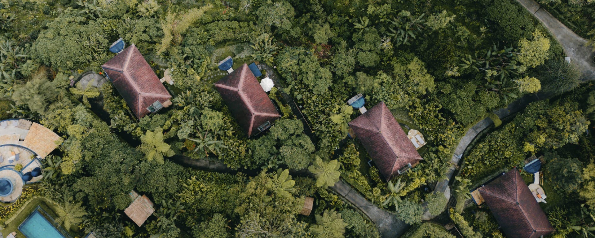 Munduk Moding Plantation Nature Resort in Nord-Bali:  Munduk Moding Plantation Nature Resort