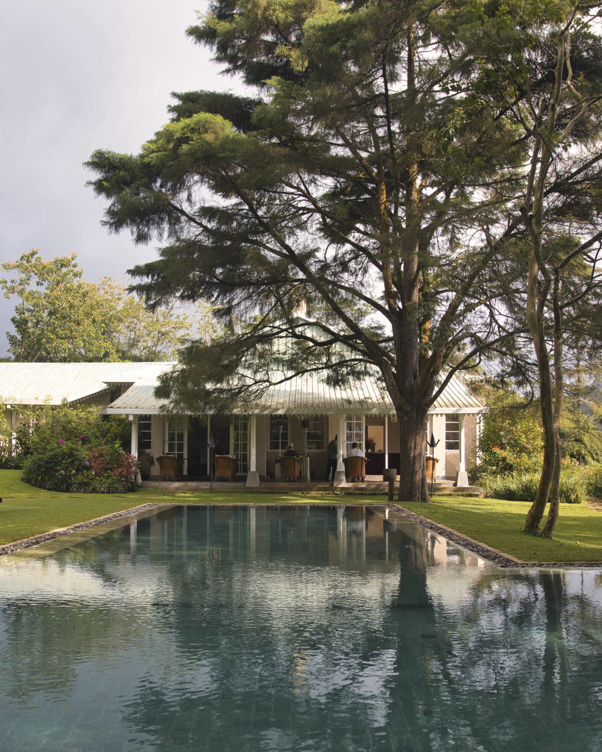 Ceylon Tea Trails in Hatton: Ceylon Tea Trails