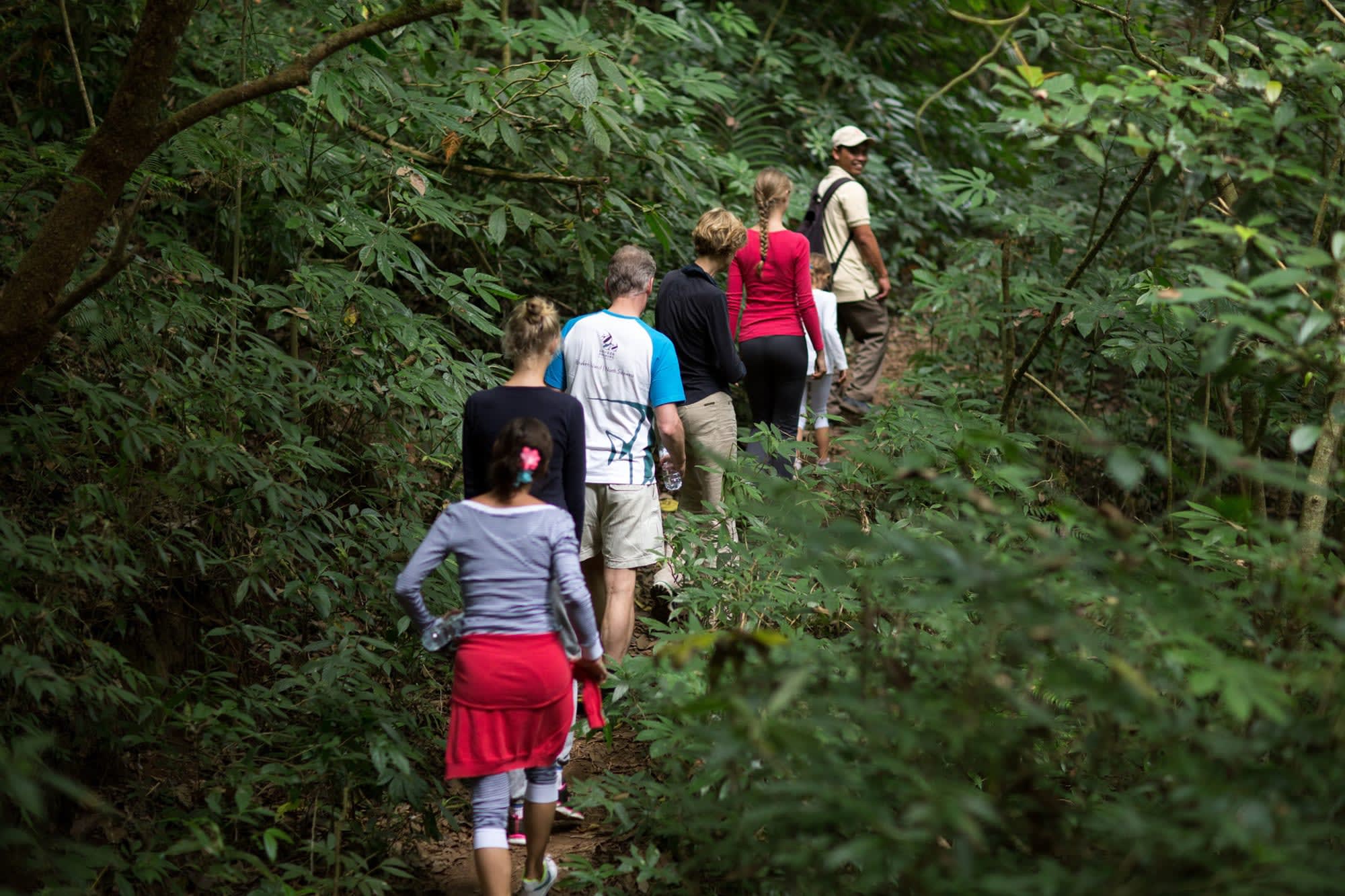 Munduk Moding Plantation Nature Resort in Nord-Bali:  Indonesien Bali Munduk Moding Plantation Wanderung