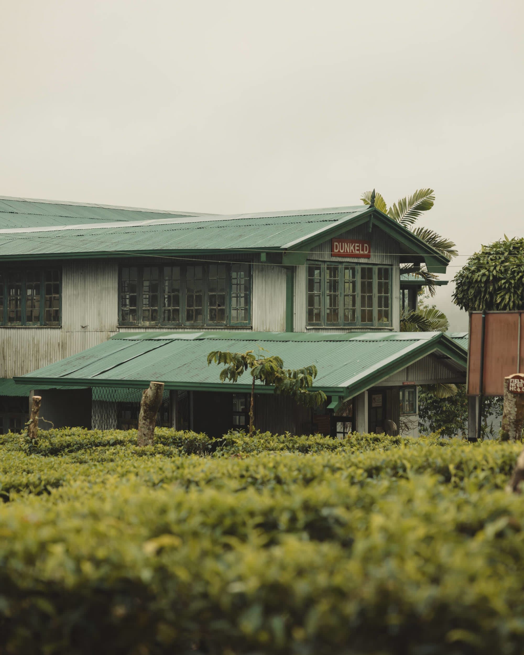 Ceylon Tea Trails in Hatton: Ceylon Tea Trails