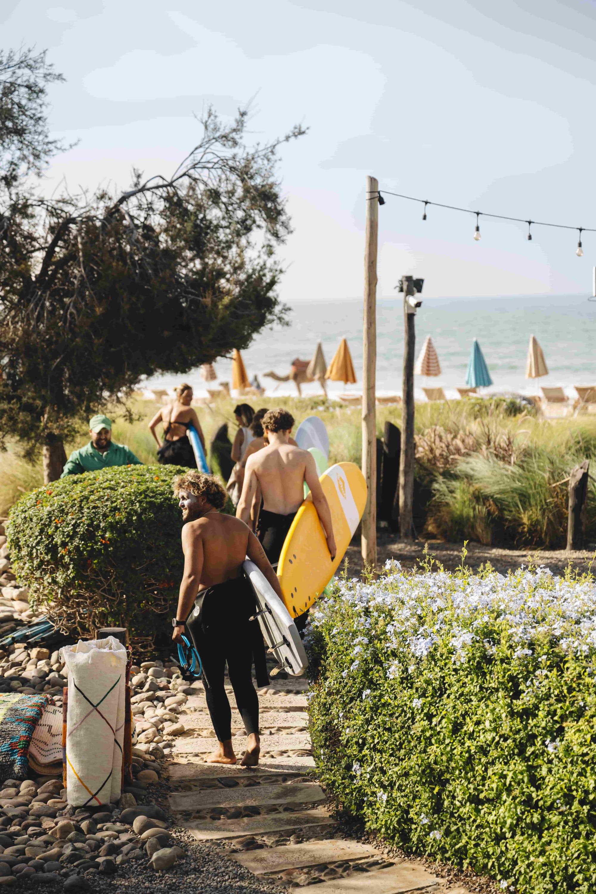 Paradis Plage Surf Yoga Resort & Spa in Agadir | Taghazout: Paradis Plage Beach-Front-Surf-Lesson