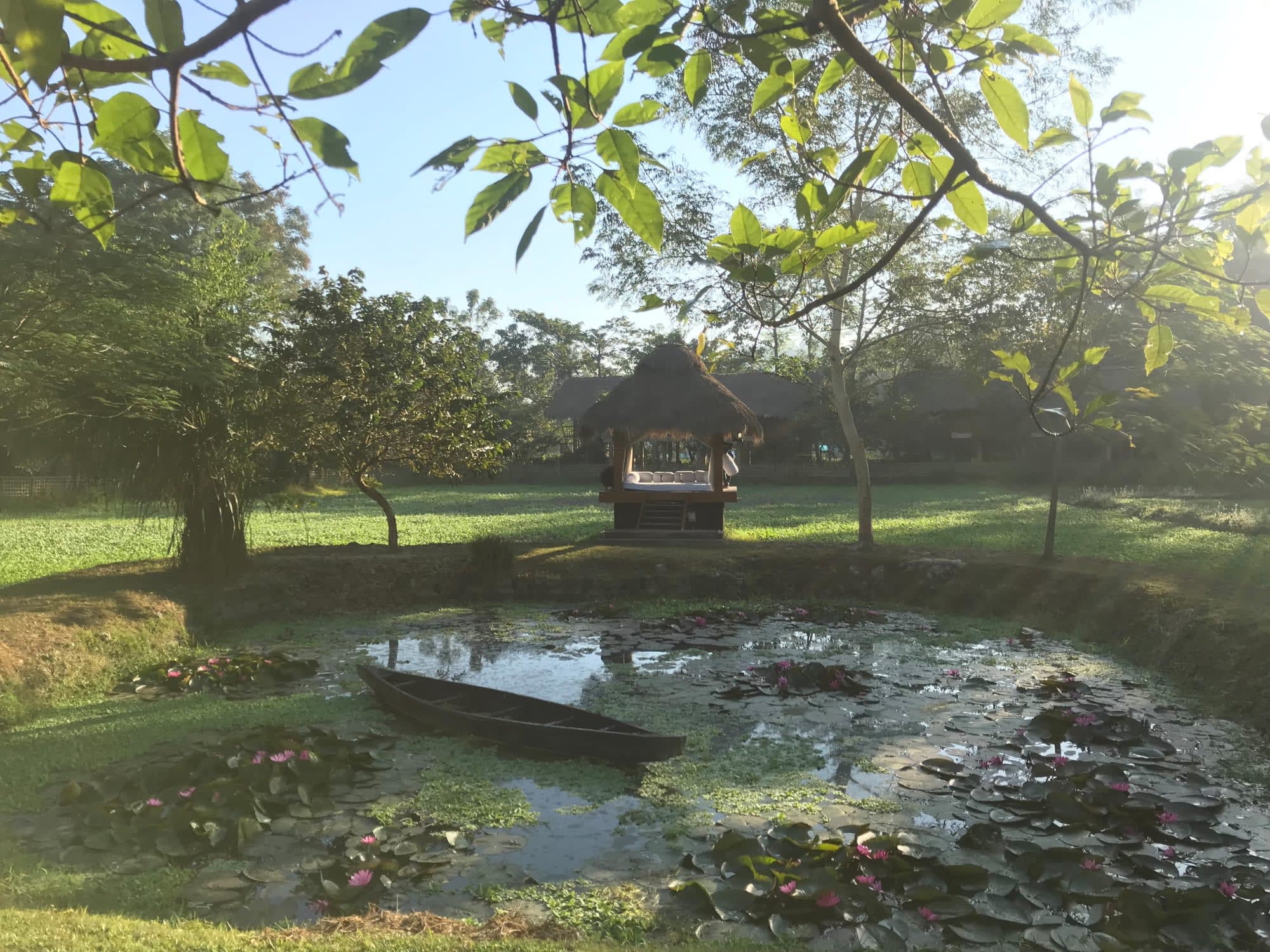 Diphlu River Lodge in Assam | Dibrugarh | Guwahati:  Diphlu River Lodge