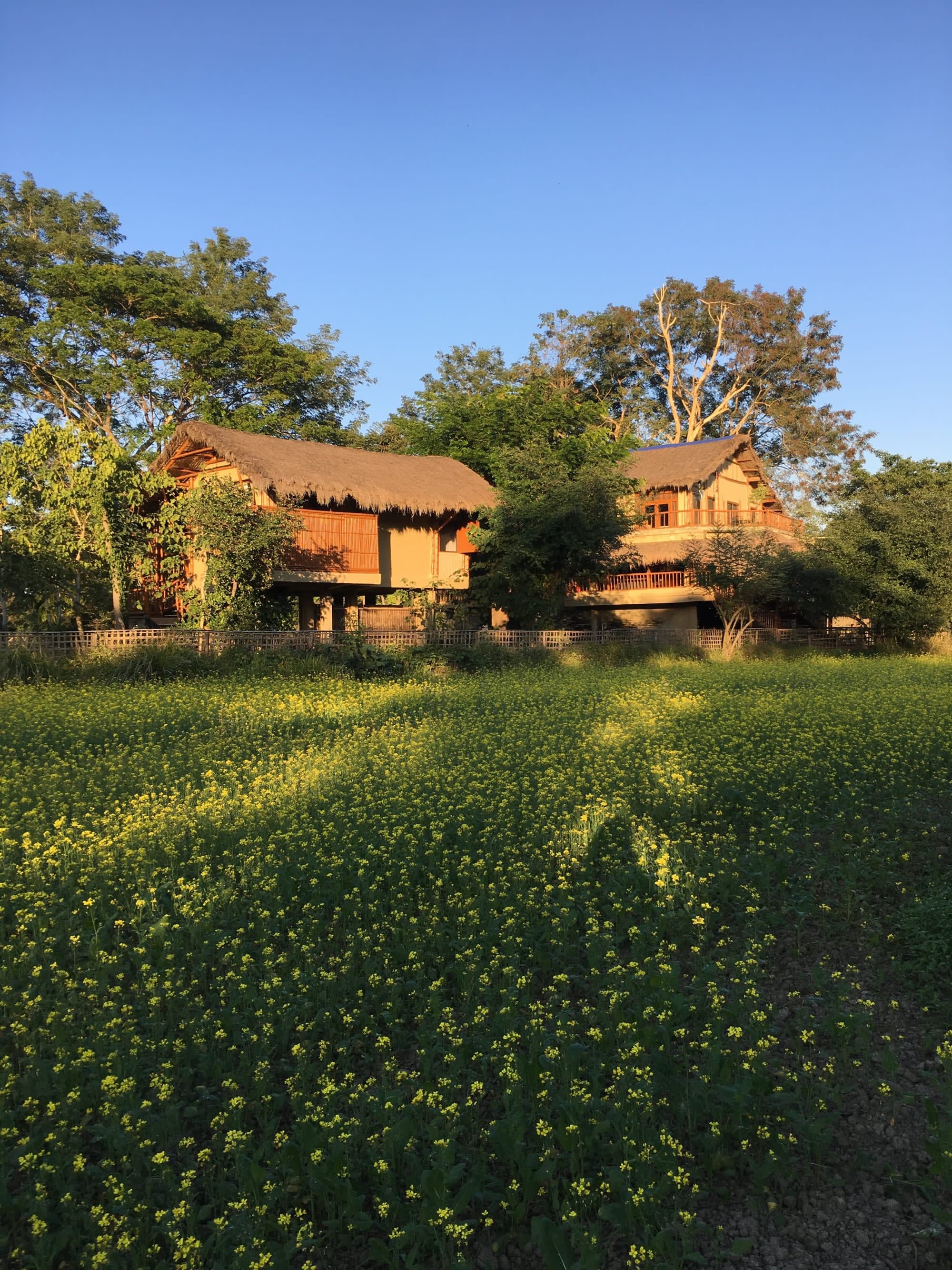 Diphlu River Lodge in Assam | Dibrugarh | Guwahati: IMG_8307.JPG