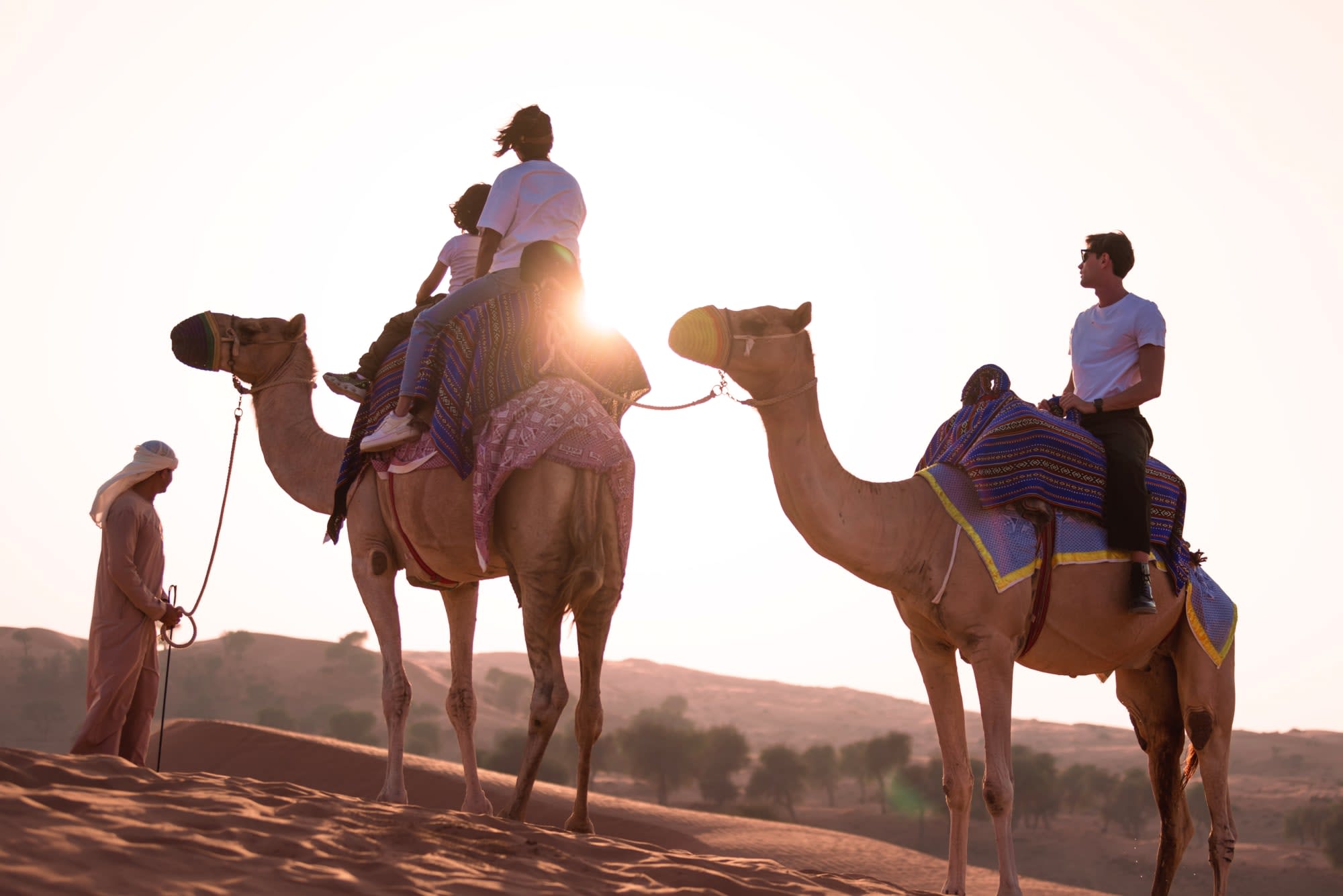 The Ritz-Carlton, Ras Al Khaimah, Al Wadi Desert in Ras al Khaimah:  The Ritz-Carlton Al Wadi Desert