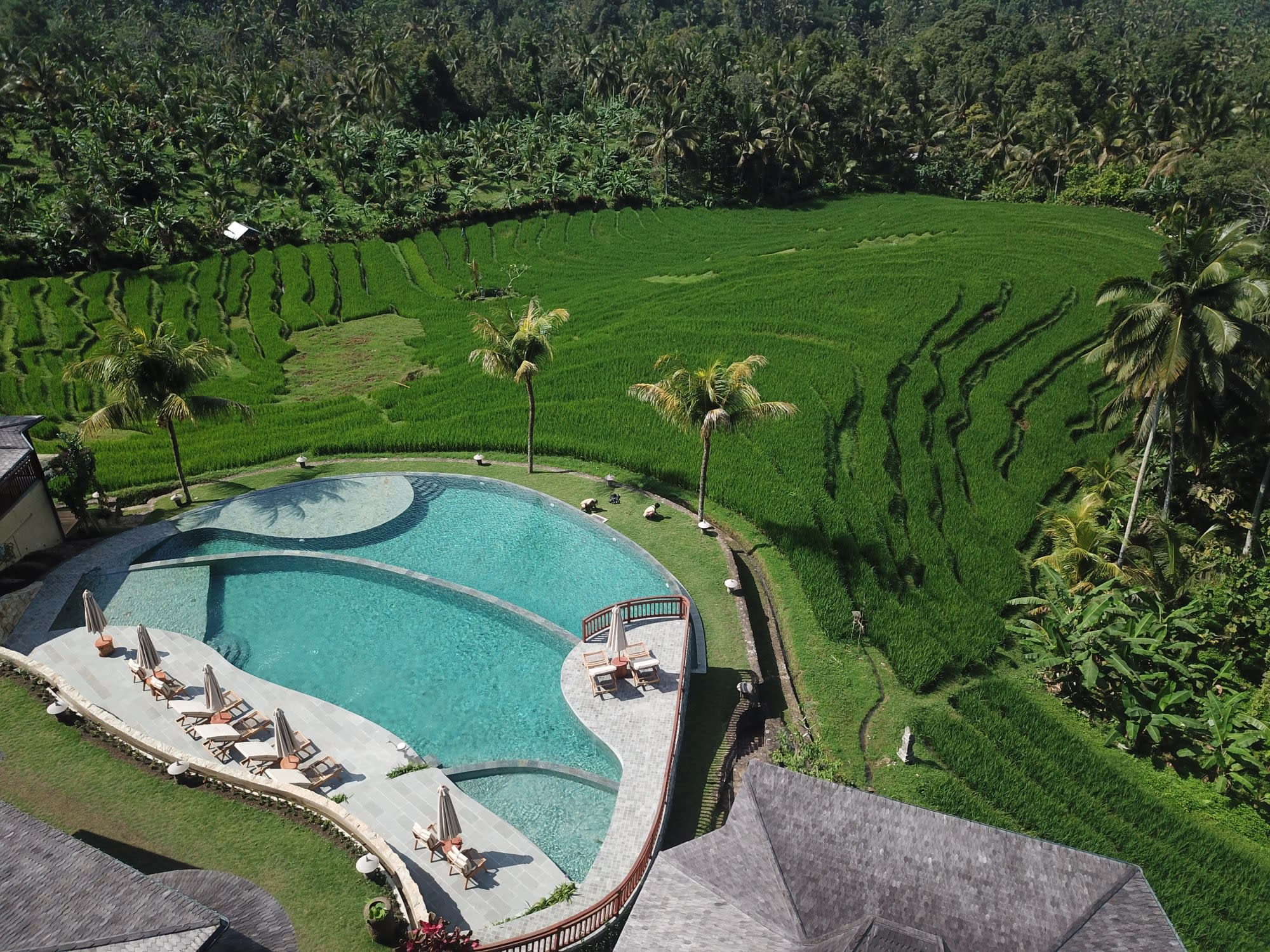 Natur & Kultur Tabanan ab Süd-Bali: exterior: Indonesien Bali Puri Dajuma Terrace Pool