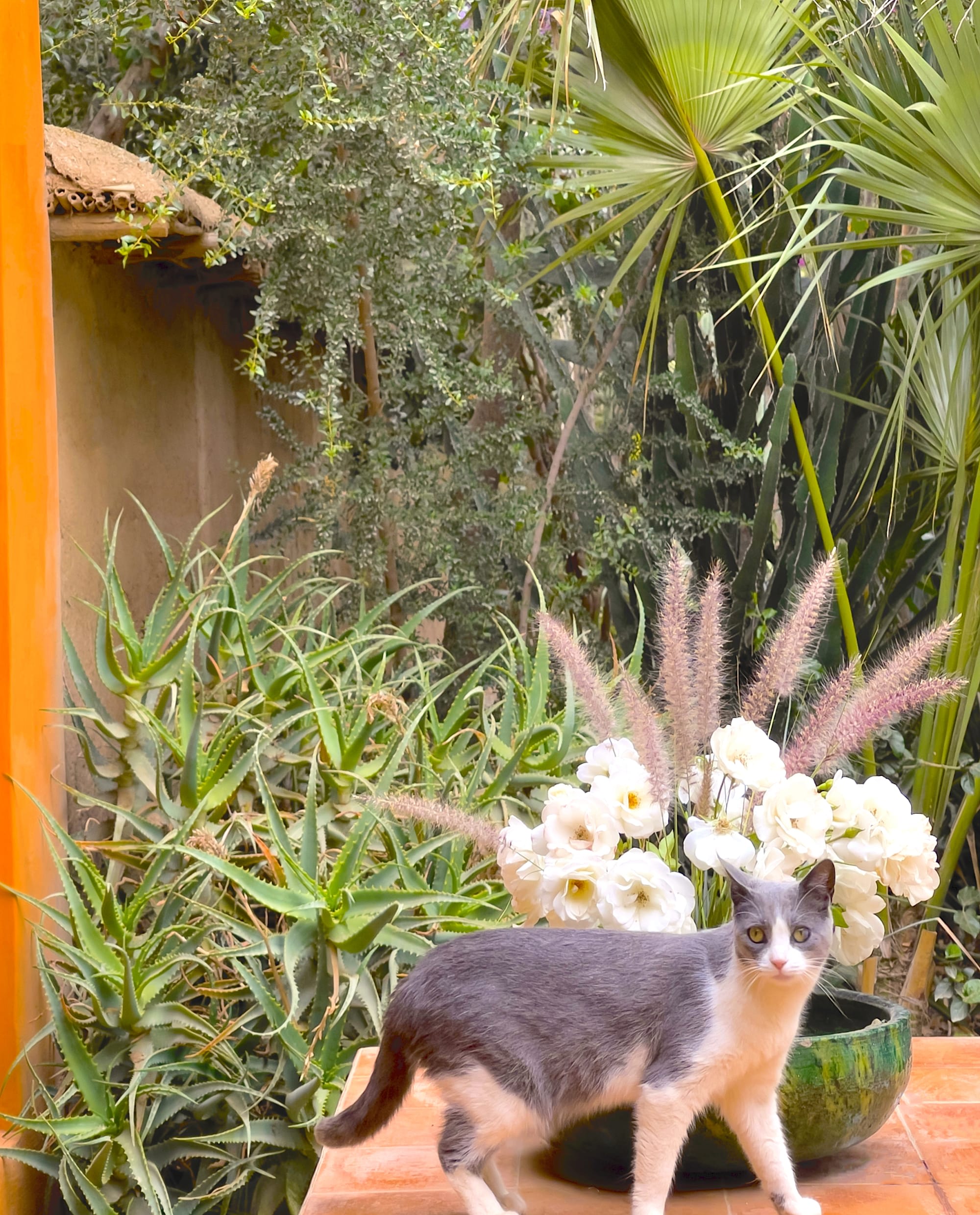 Dar al Hossoun in Taroudant | Souss-Ebene:  Dar al Hossoun