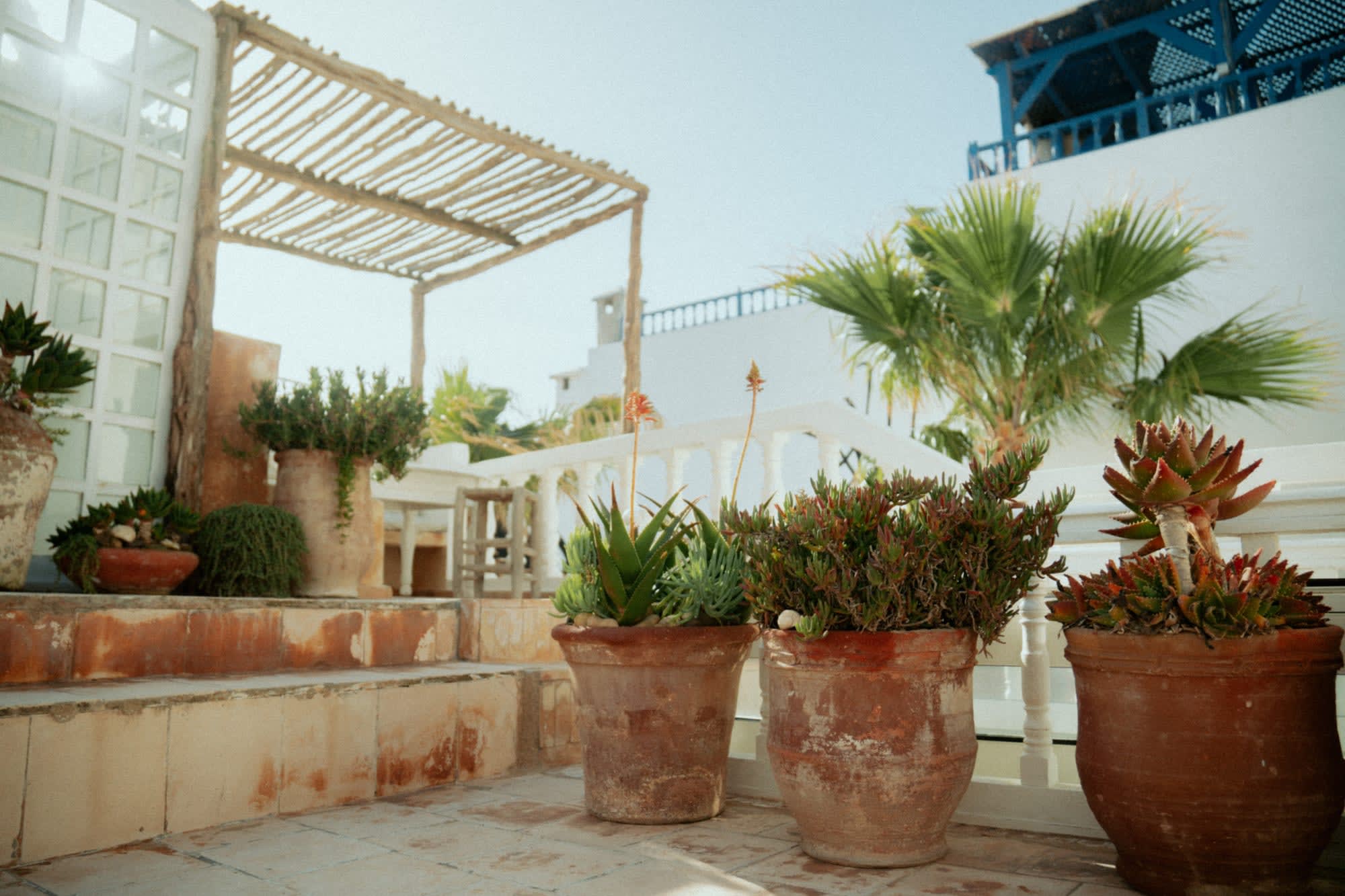 Riad Baladin in Essaouira: Riad Baladin