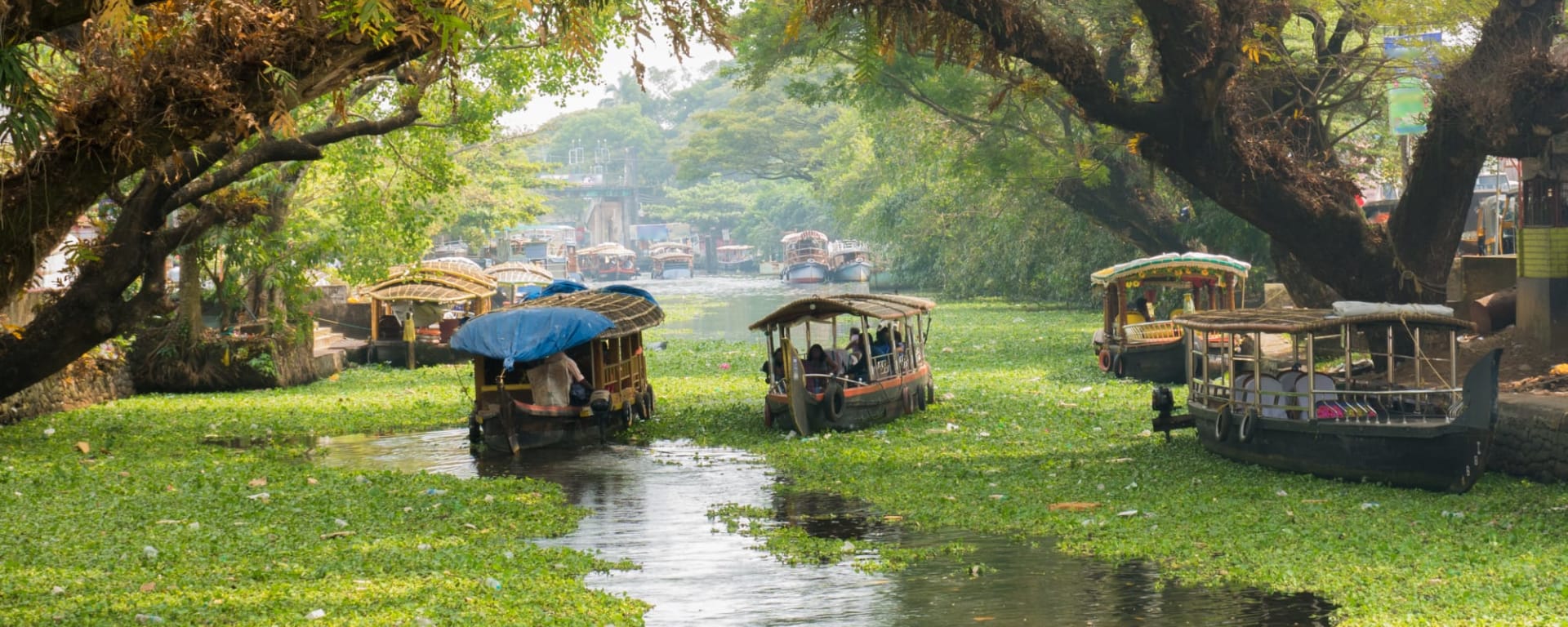 Incredible India ab Delhi: Indien Kerala Backwaters