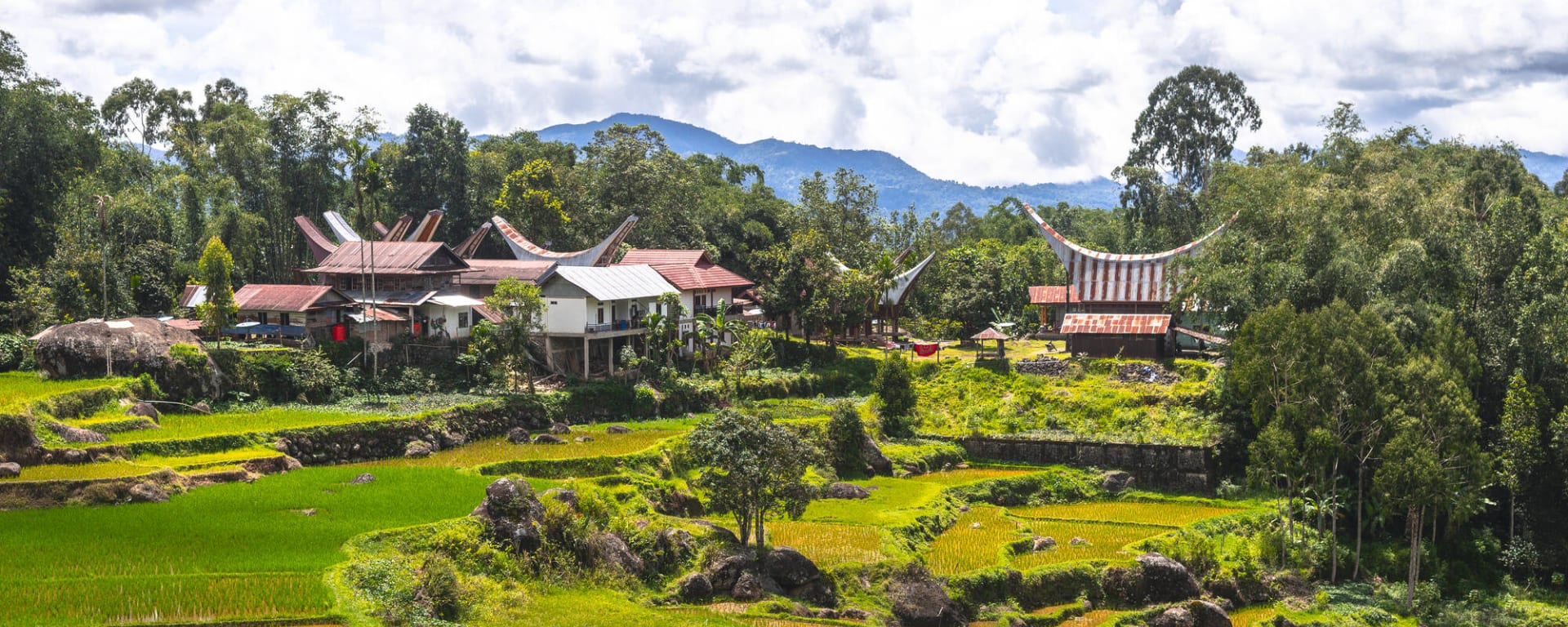 Torajaland Intensiv ab Makassar: Indonesien Sulawesi Torajaland