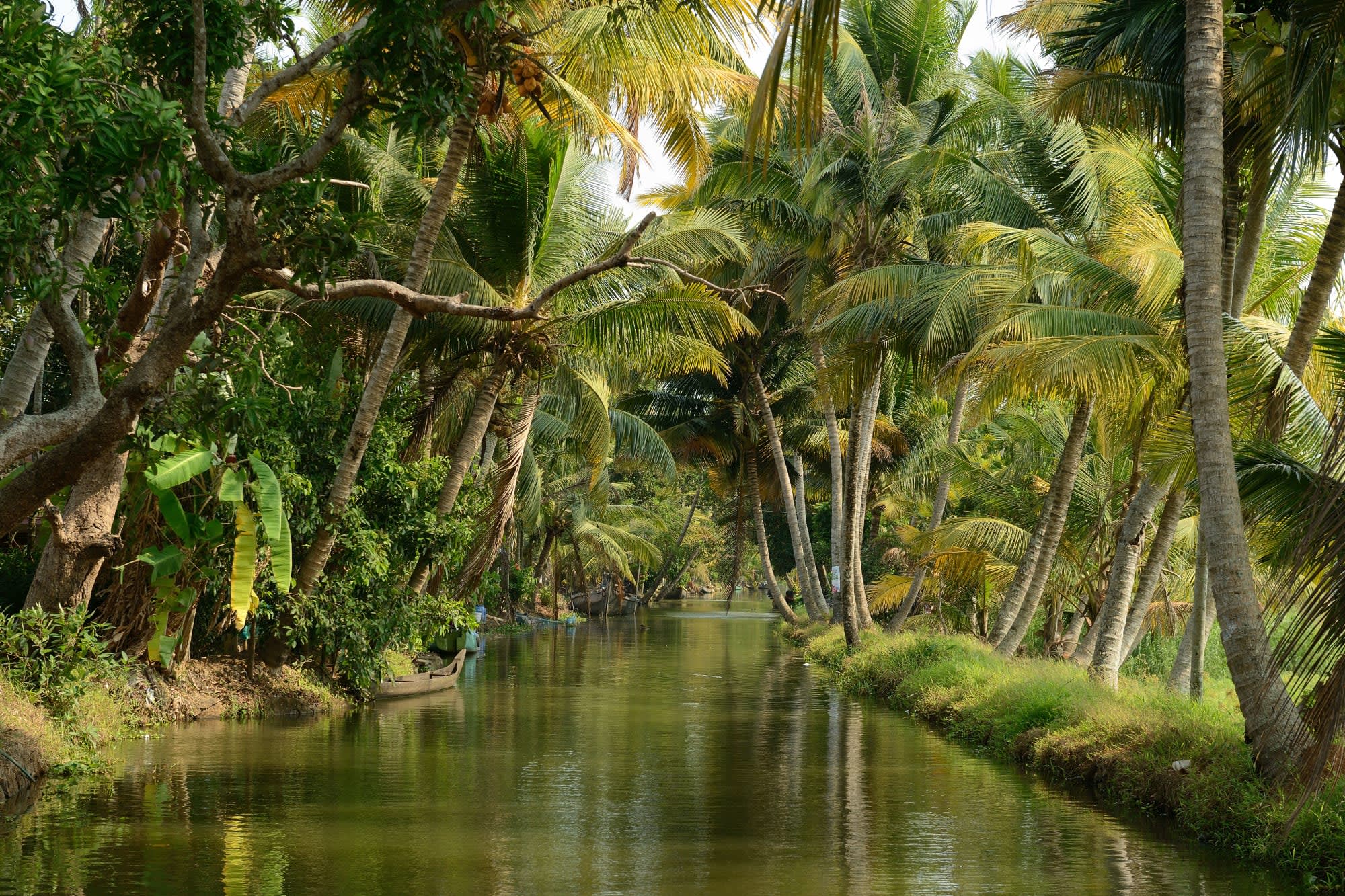 Traumhaftes Kerala ab Kerala | Malabarküste | Kochi: Indien Kerala Backwaters