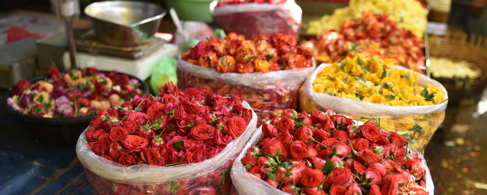 Süden Indiens für Genießer ab Tamil Nadu | Koromandelküste | Chennai: Indien Puducherry Markt