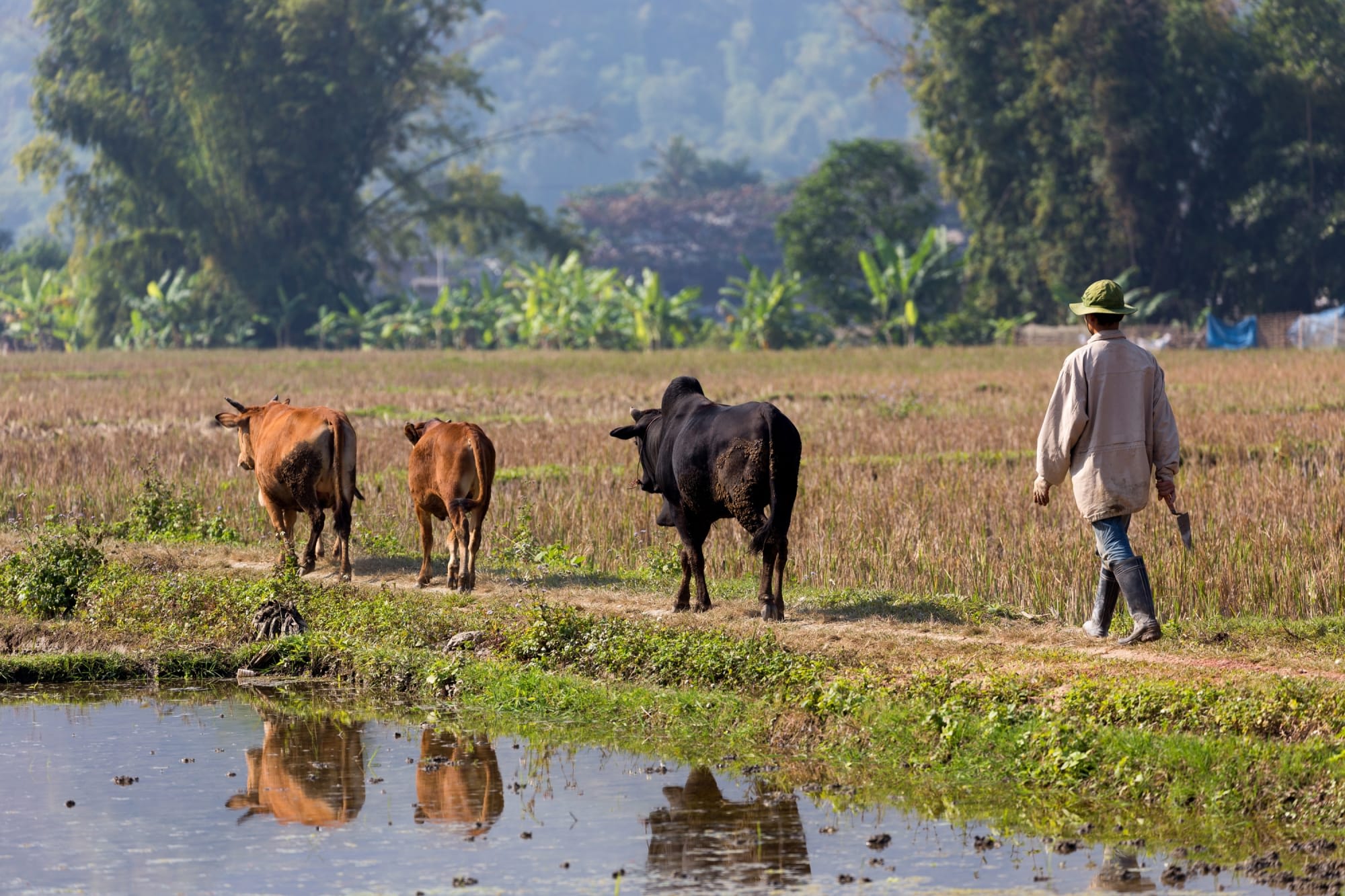 Impressionen Nord-Vietnams ab Hanoi: Vietnam Mai Chau 
