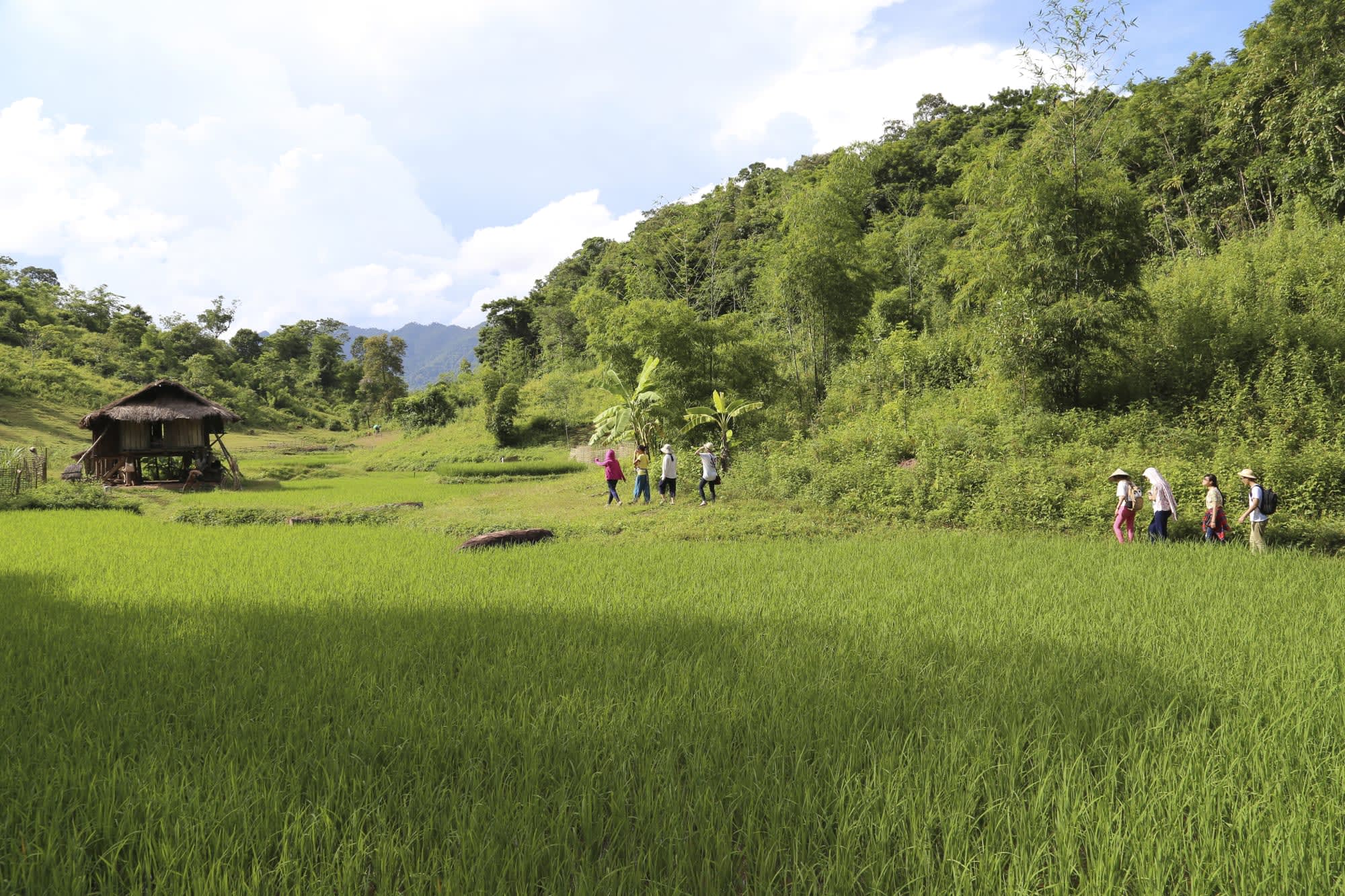 Impressionen Nord-Vietnams ab Hanoi: Vietnam Mai Chau Ecolodge Trekking