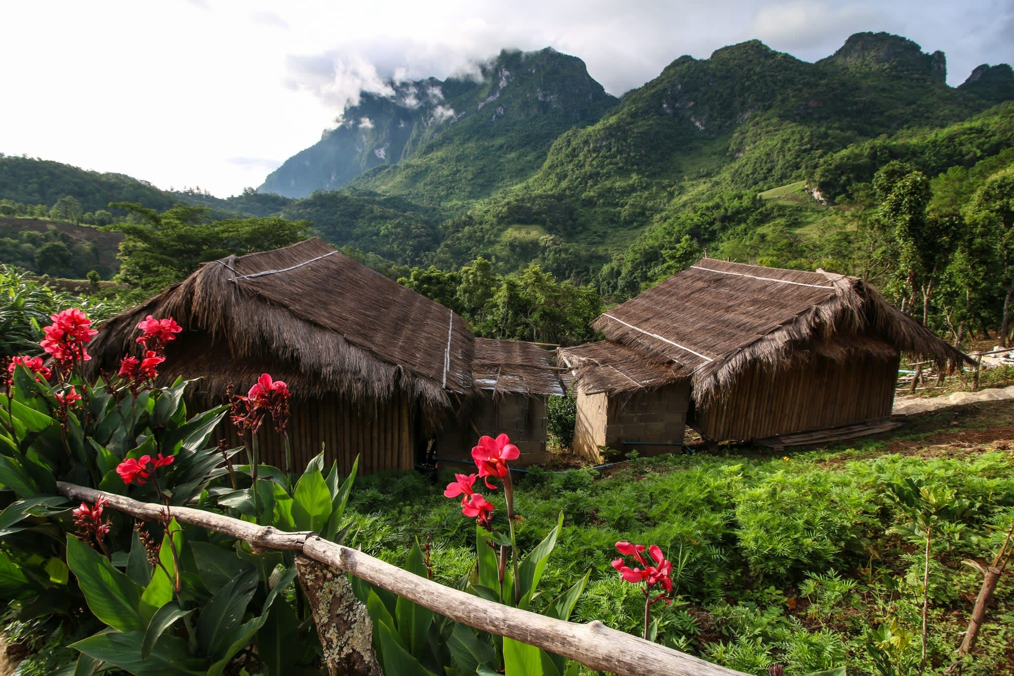 Auf den Spuren des Opiums ab Chiang Mai: Thailand Nordthailand Landschaft