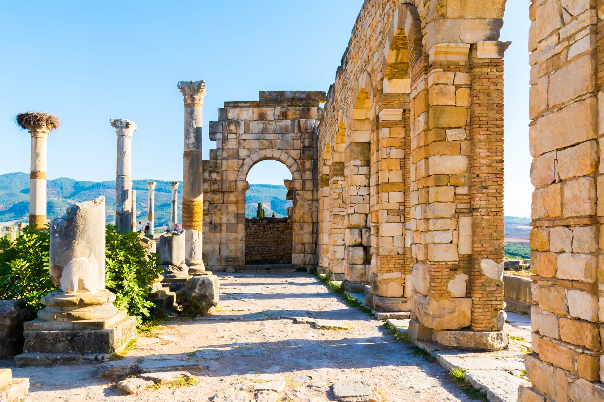 Die Nordlichter Marokkos ab Marrakesch: Marokko Meknes Volubilis