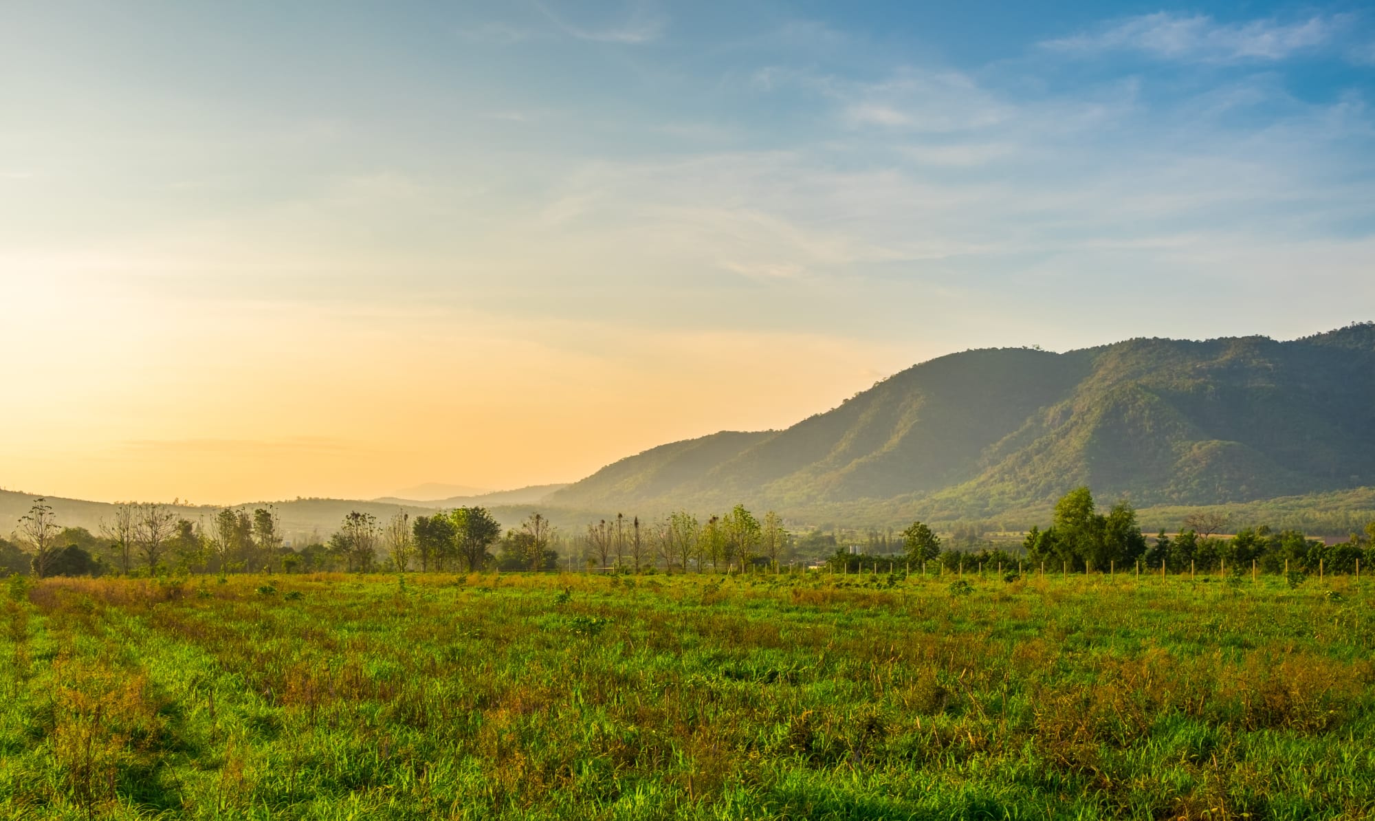 Natur & Kultur rund um Bangkok: Thailand Khao Yai Nationalpark