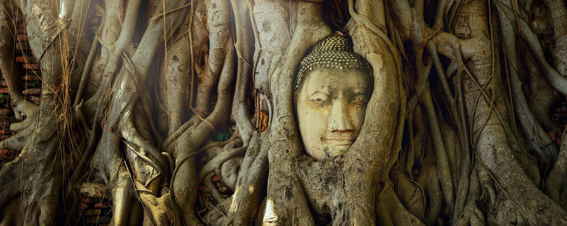 Natur & Kultur rund um Bangkok: Thailand Ayutthaya Wat Mahathat