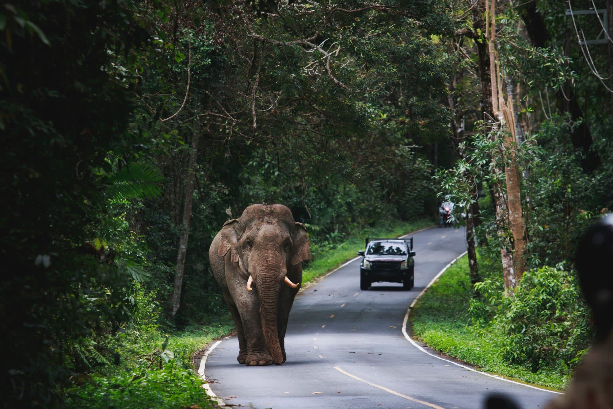 Isan - der verborgene Schatz Thailands ab Bangkok: Thailand Khao Yai Nationalpark