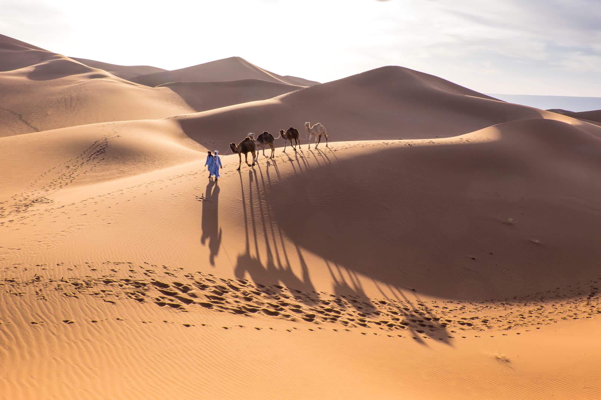Zwischen Atlas, Wüste und Meer ab Marrakesch: Marokko Erg Chegaga