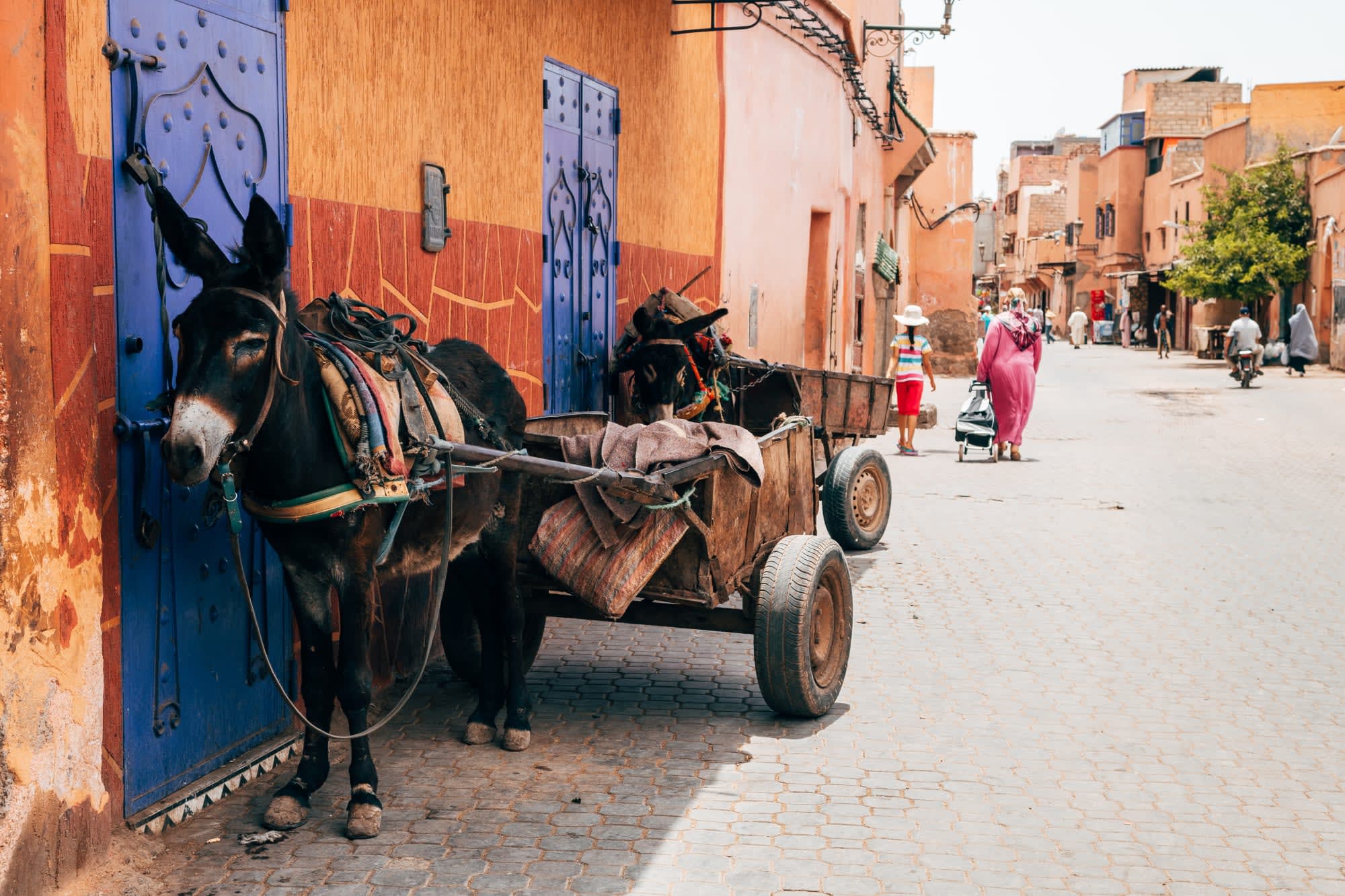Kurztrip Süden ab Marrakesch: Marokko Marrakesch Eselkarren