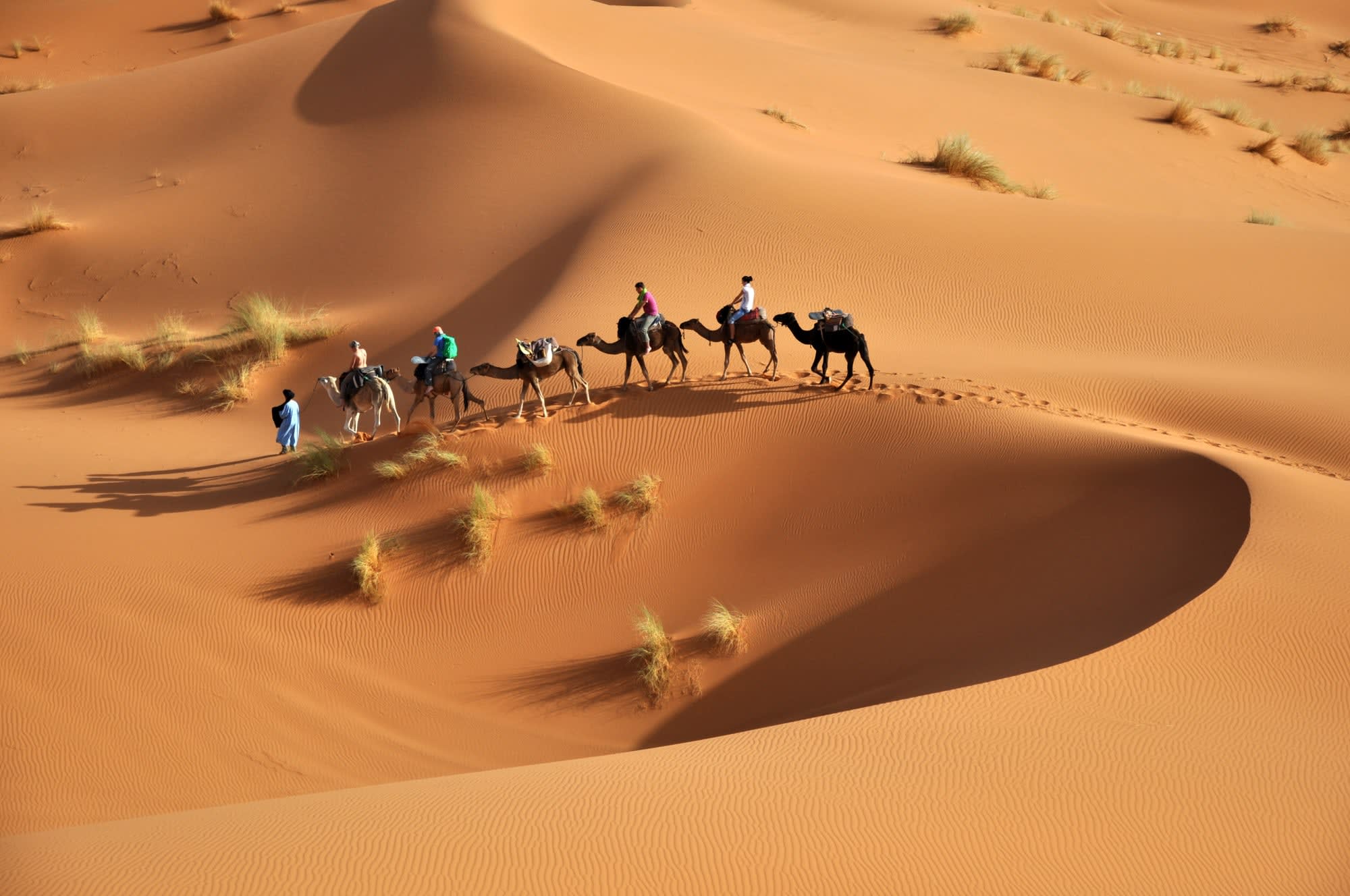 Familienabenteuer: Kids & Camels ab Marrakesch: Marokko Sahara Dromedarritt