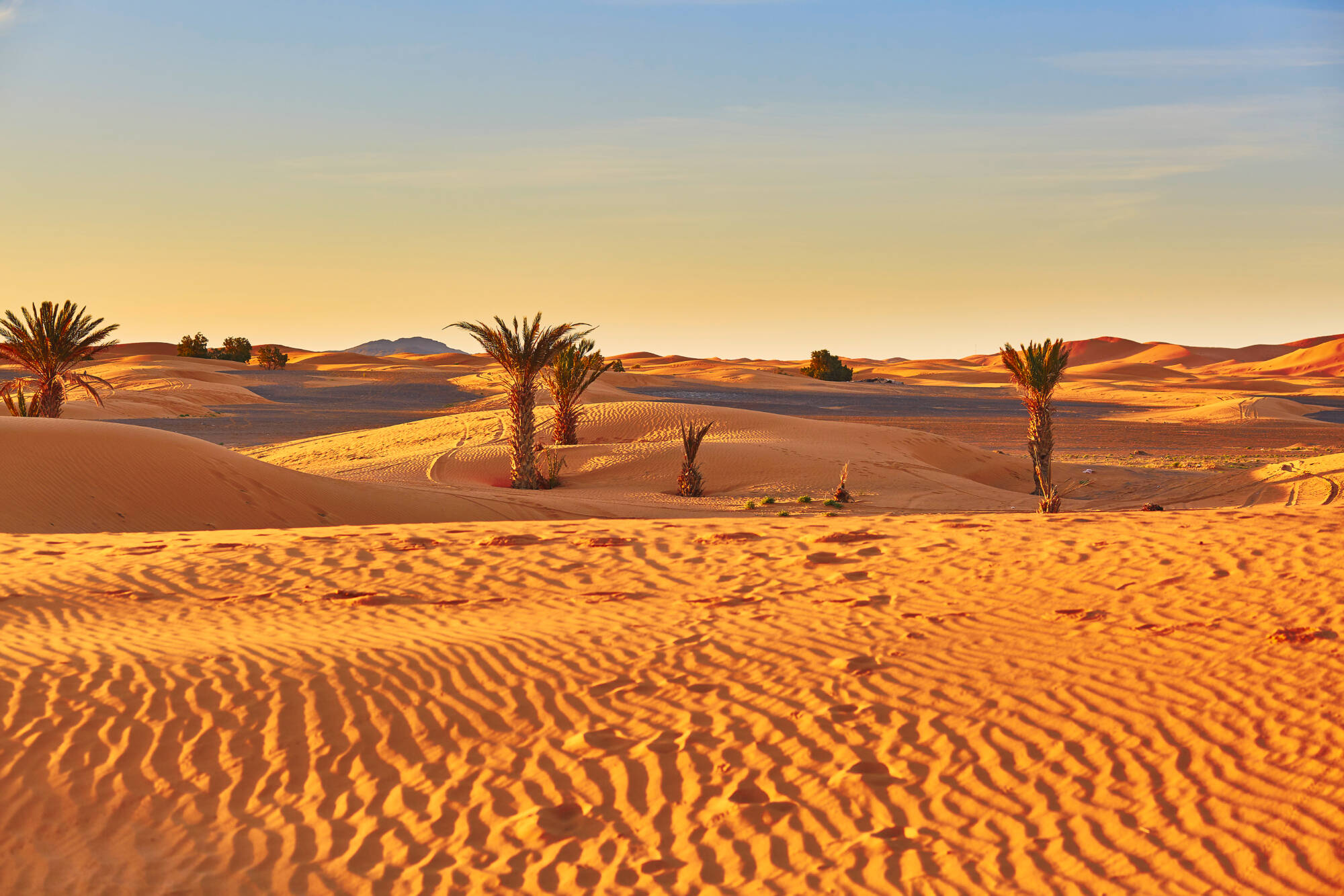 Wüstenzauber I ab Marrakesch: Marokko Wüste nahe Merzouga