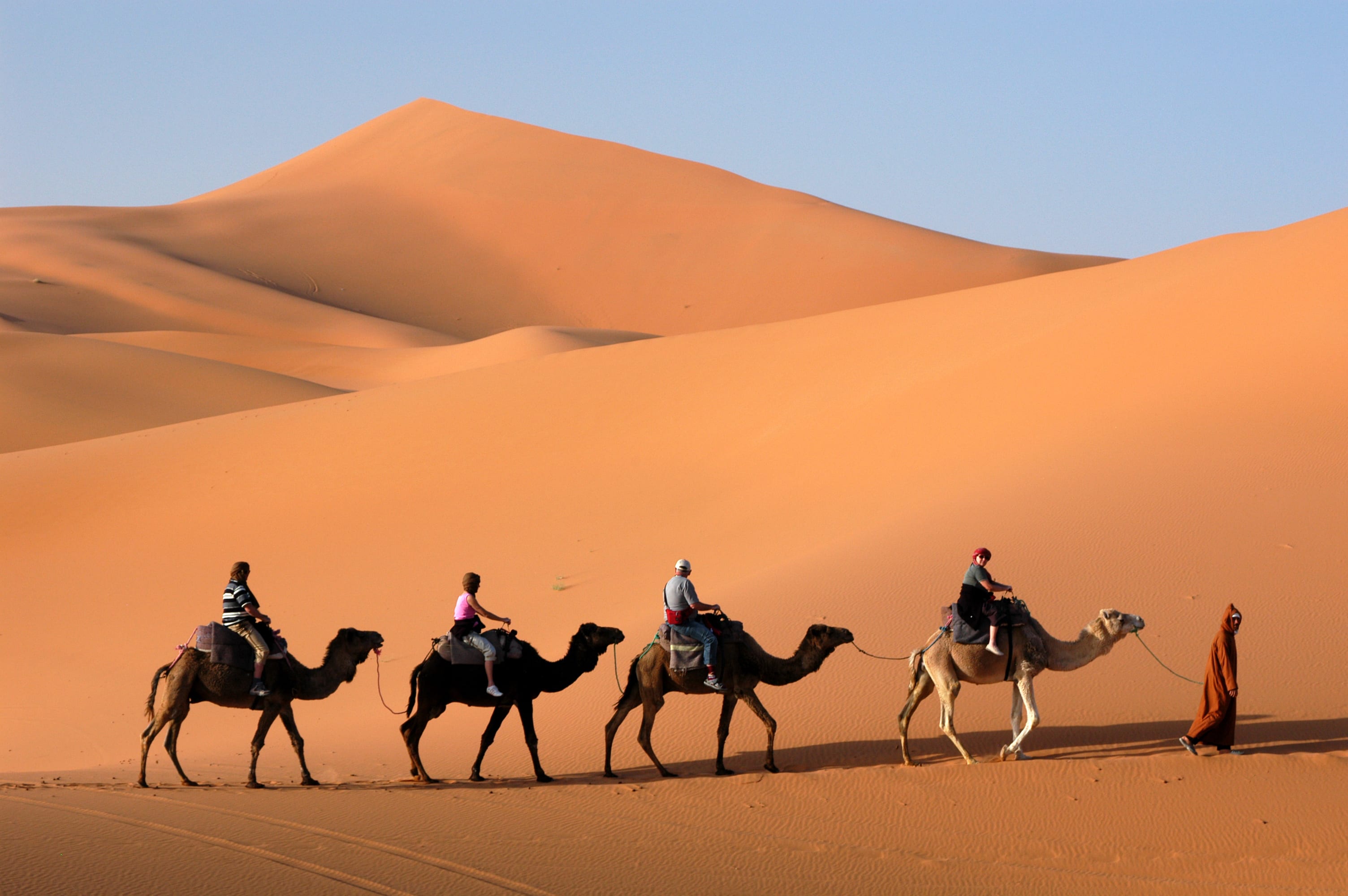 Wüstenzauber I ab Marrakesch: Marokko Kamelritt