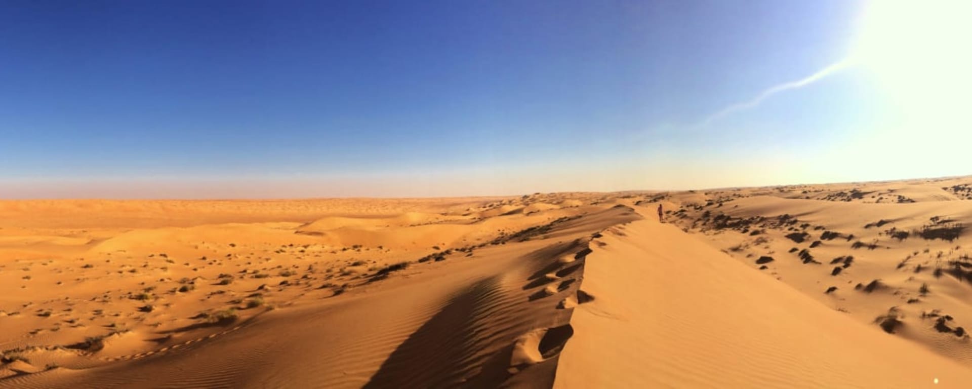 Erlebnis Wüste ab Muscat: Oman Wahiba Sands Dünenpanorama