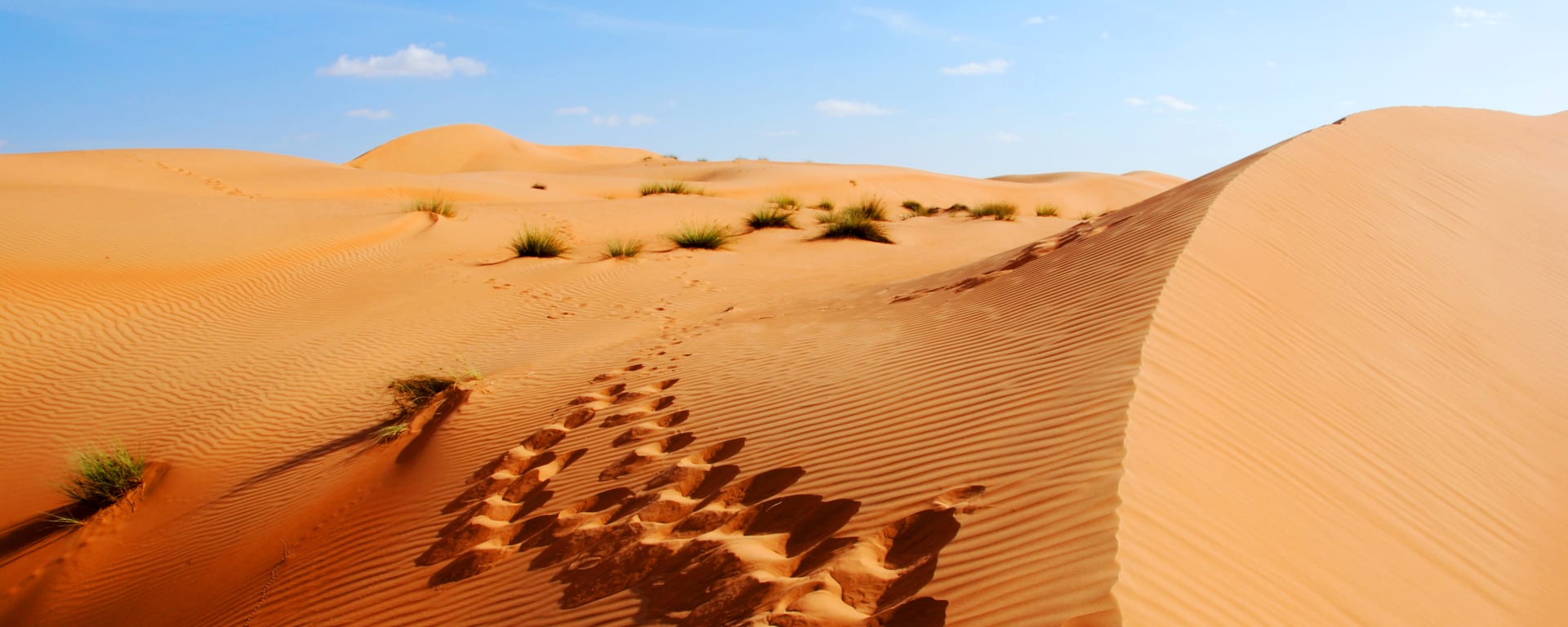 Erlebnis Wüste ab Muscat: Oman Spuren im Sand