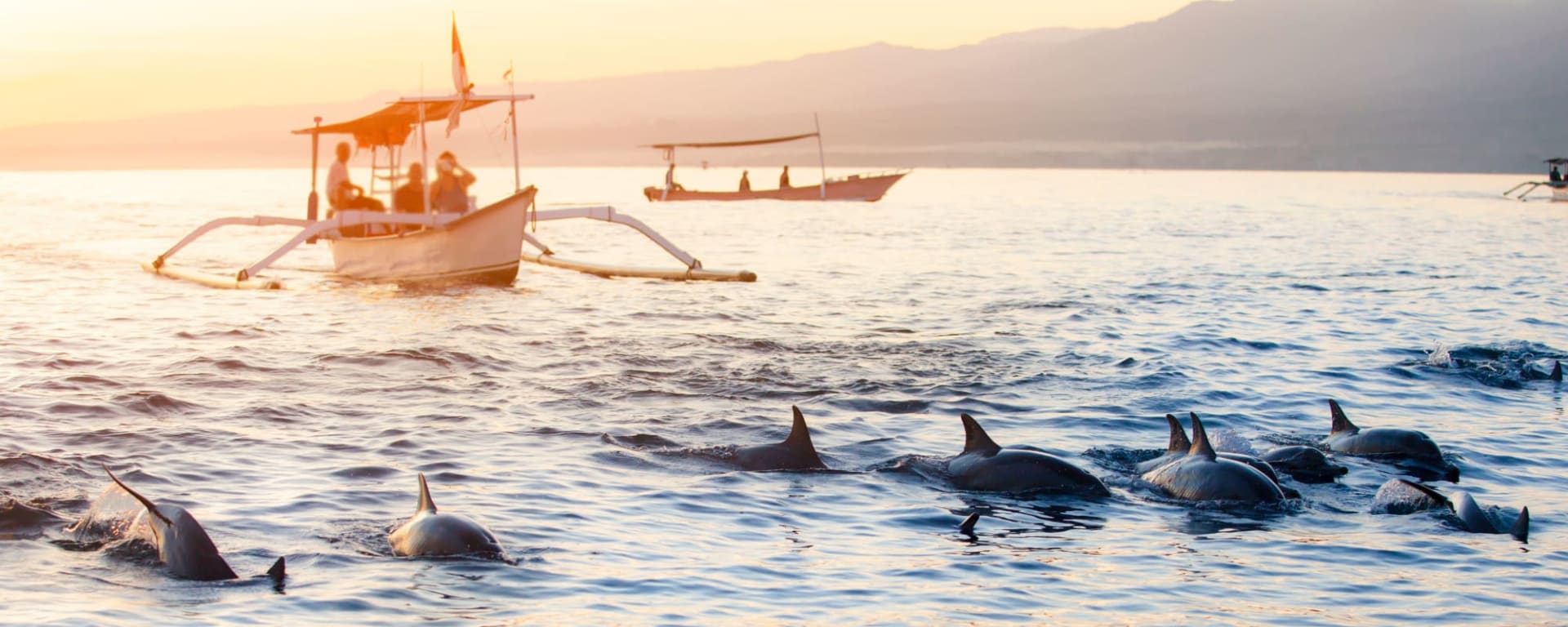 Bali Pur ab Süd-Bali: Indonesien Bali Lovina Delfin Tour 