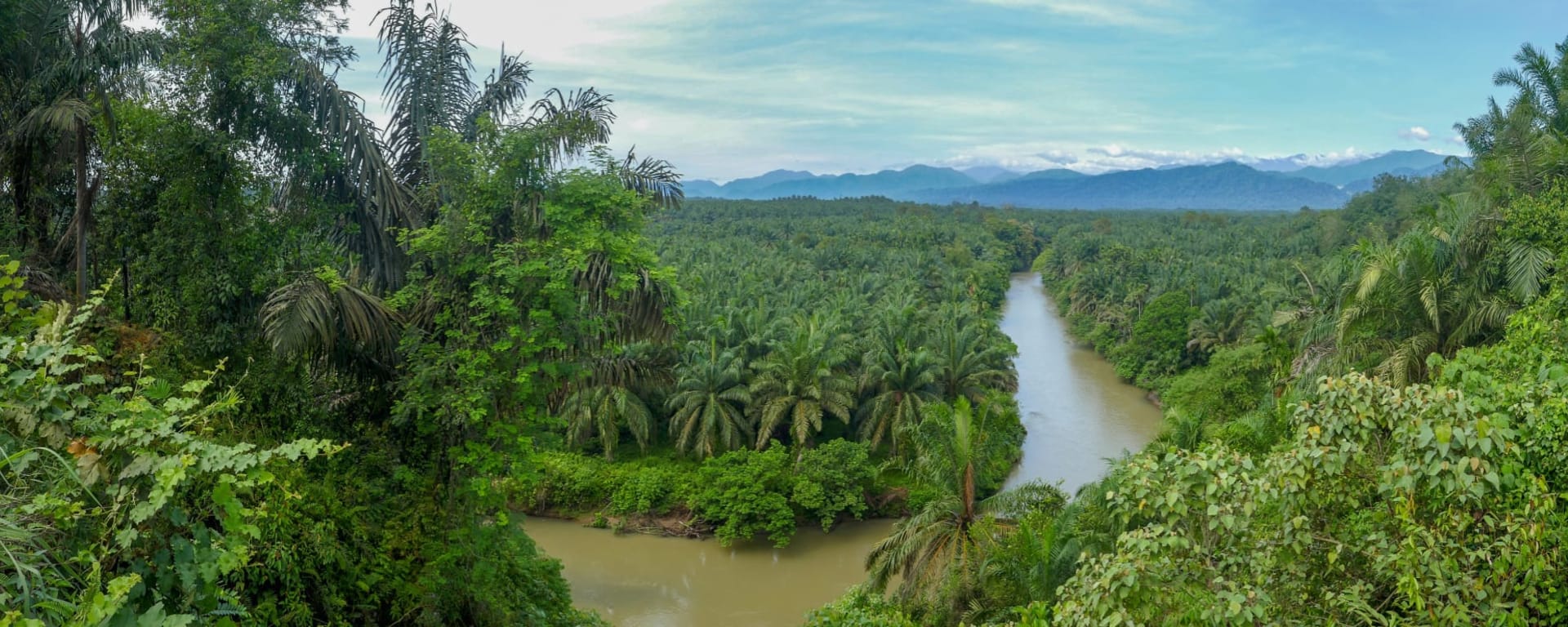 Gunung Leuser Nationalpark ab Medan: Indonesien Sumatra Gunung Leuser Nationalpark