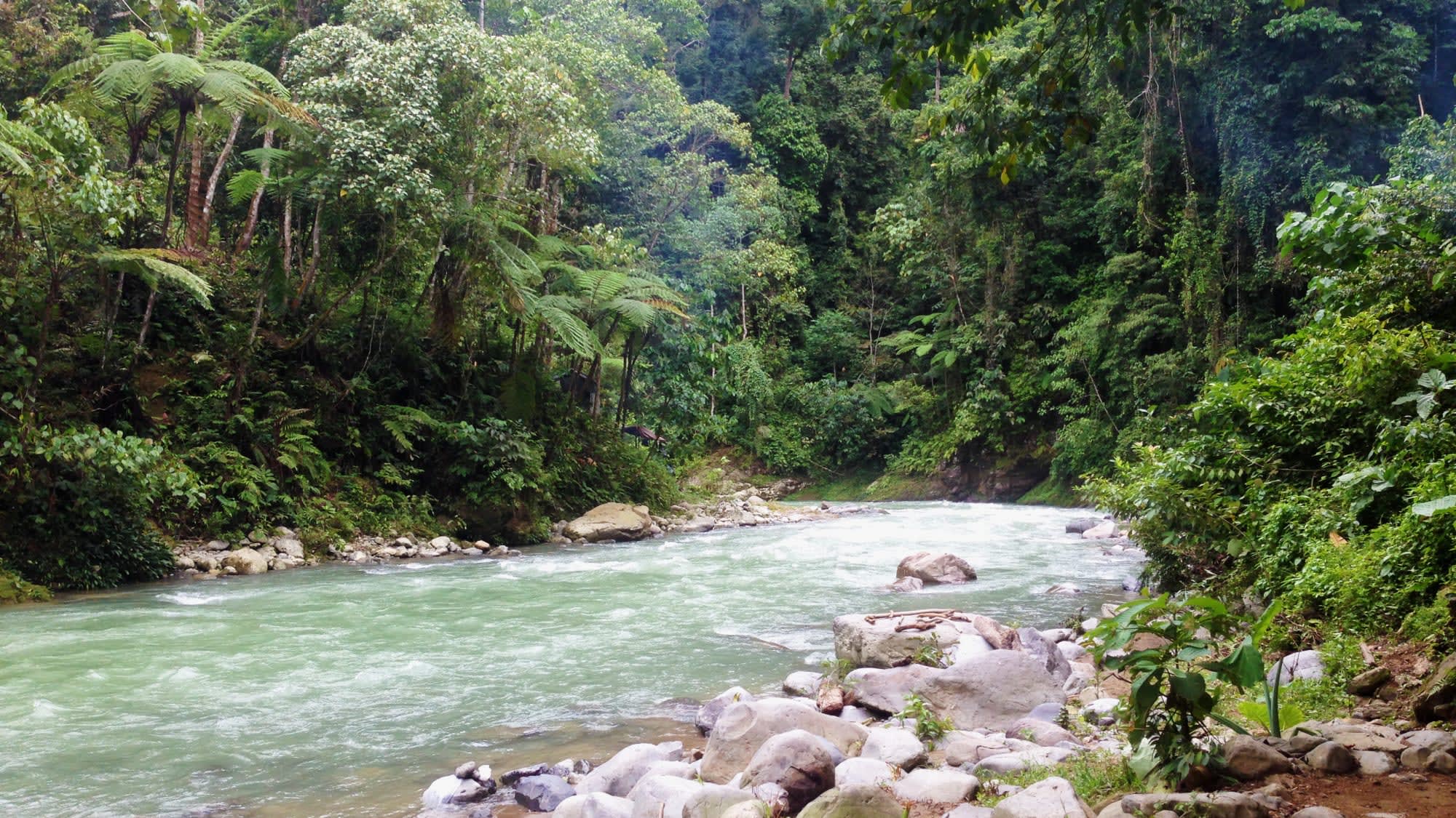 Gunung Leuser Nationalpark ab Medan: Indonesien Sumatra Bukit Lawang Bohorok Fluss