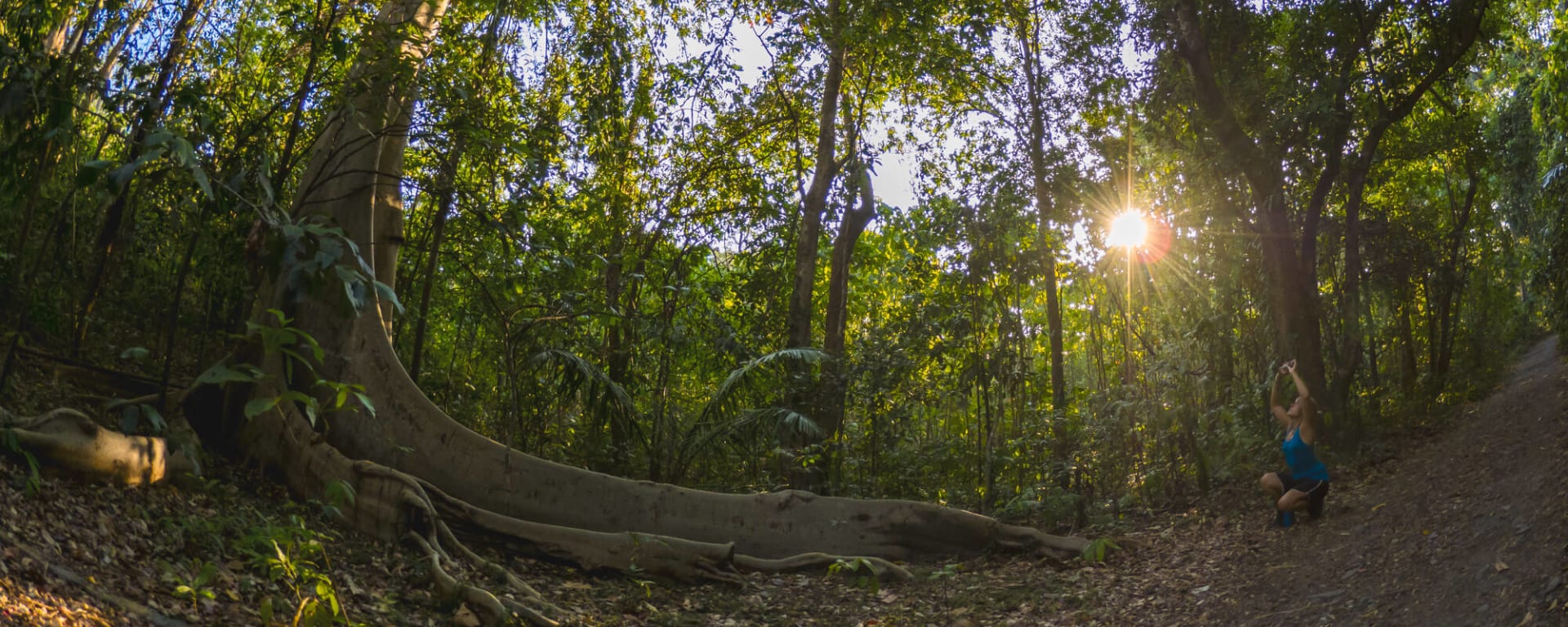 Im Hochland der Minahasa ab Manado: Indonesien Sulawesi Tangkoko Nationalpark
