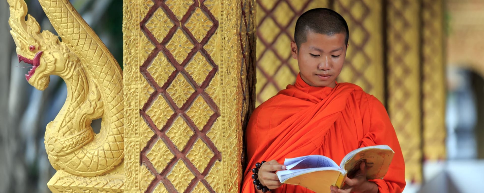 Klassisches Laos ab Luang Prabang: Laos Junger Mönch