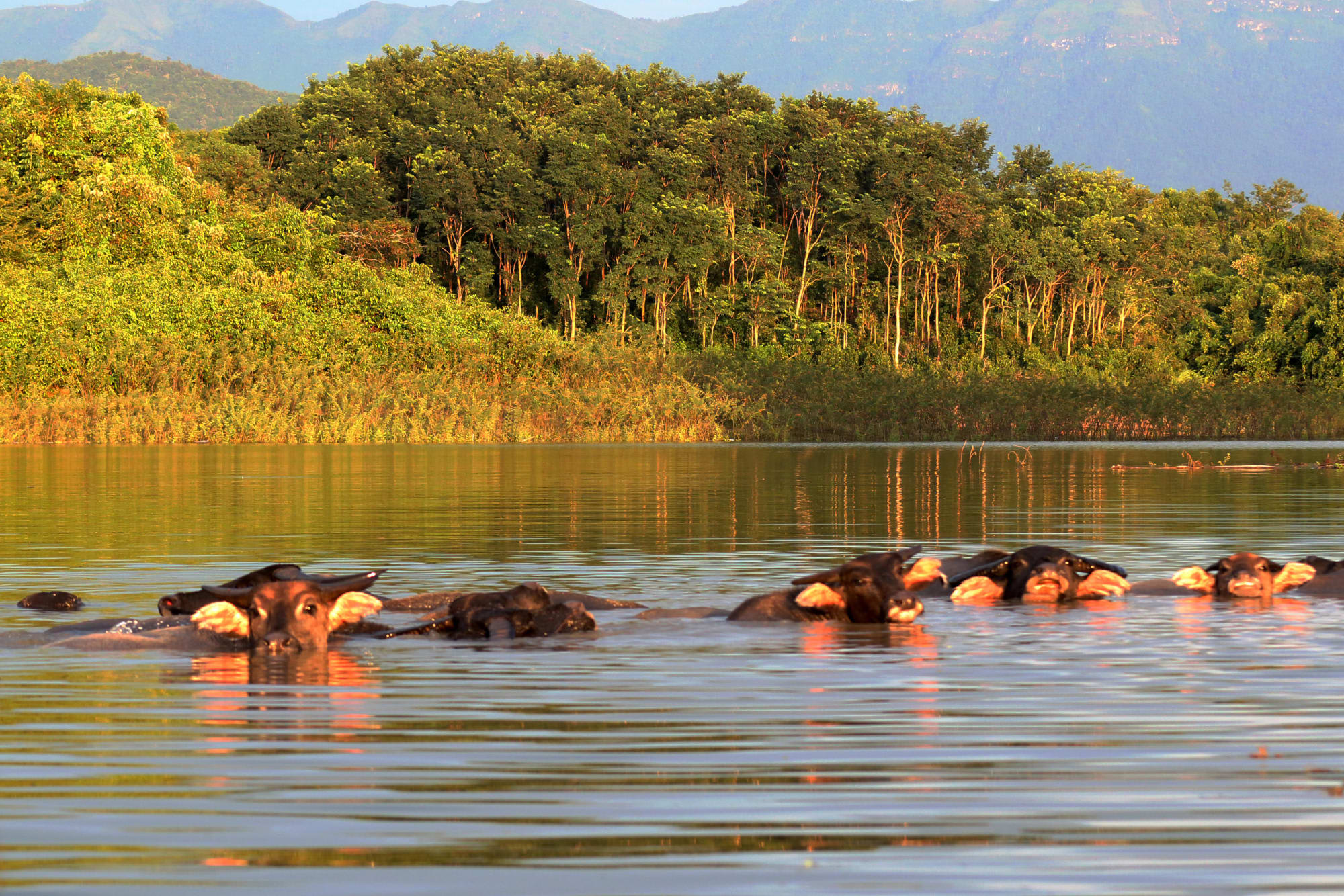 Klassisches Laos ab Luang Prabang: Laos Sanctuary Nam Ngum Resort