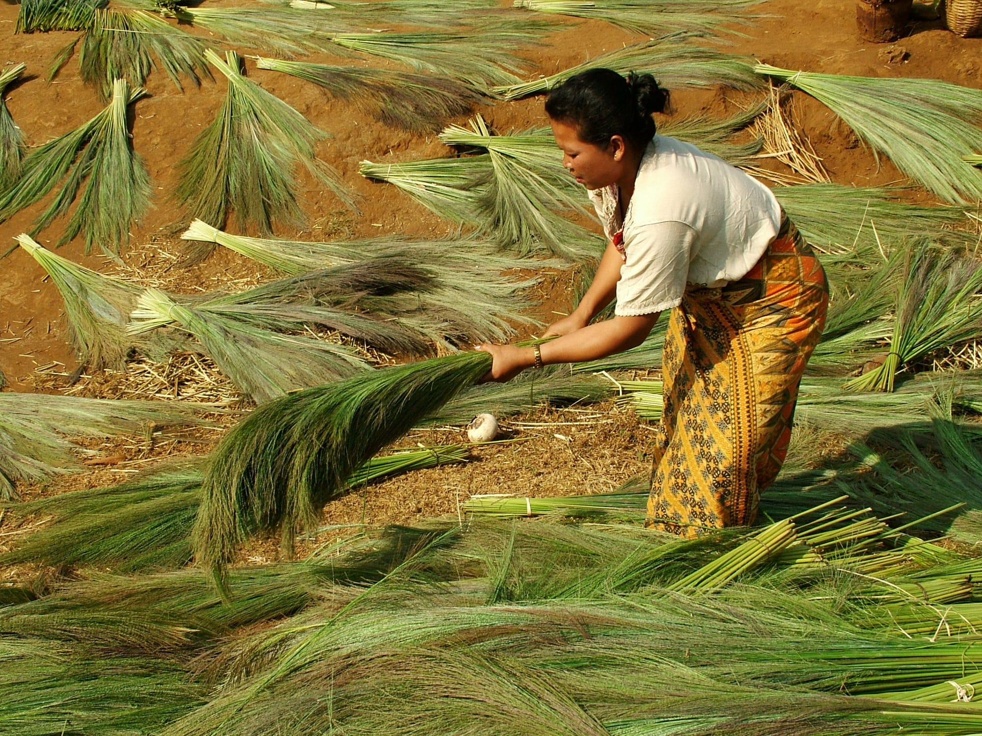 Überland von Luang Prabang nach Vientiane: Laos Farmer